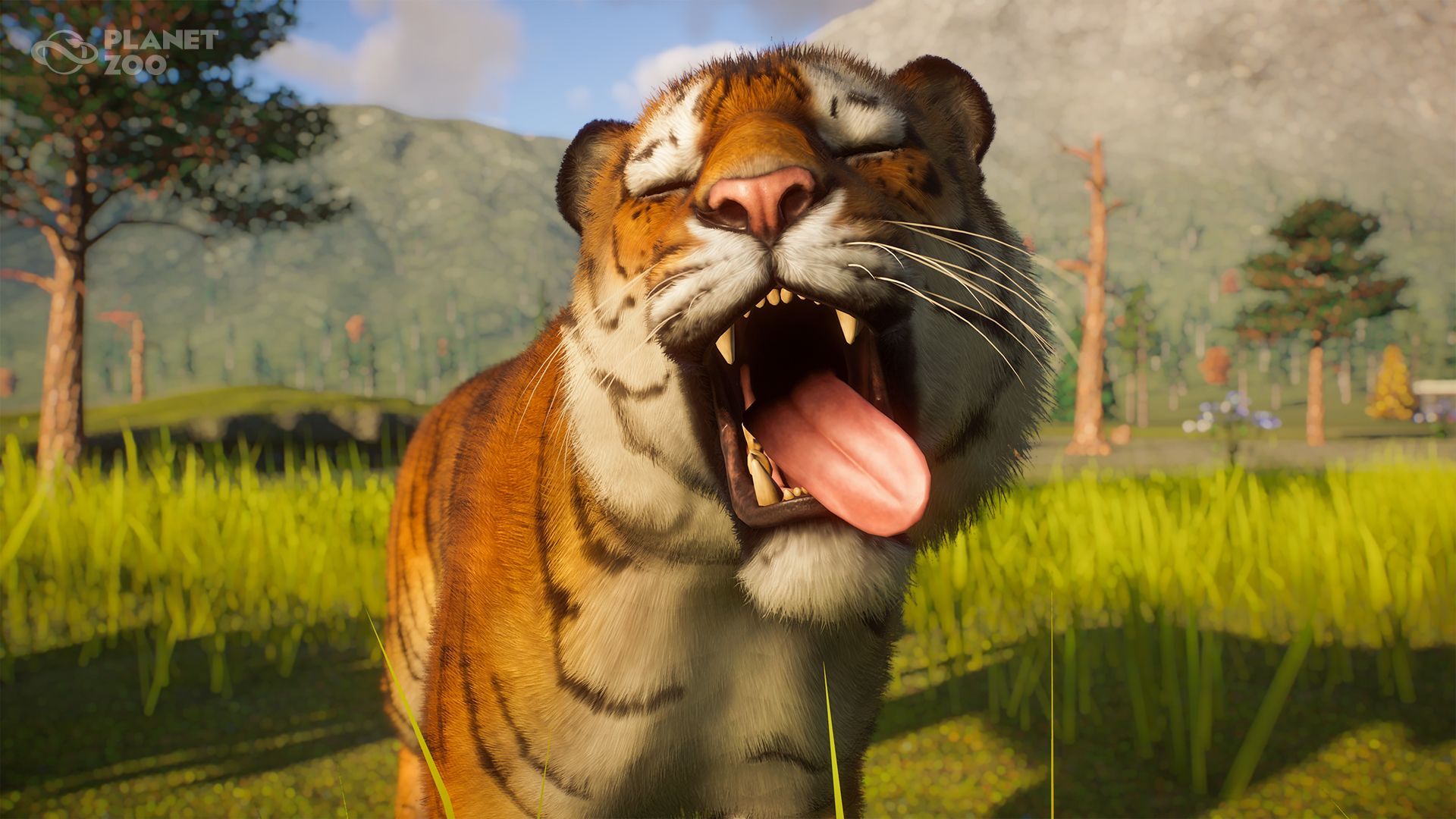 1920x1080 Planet Zoo on X: Siberian Tigers have