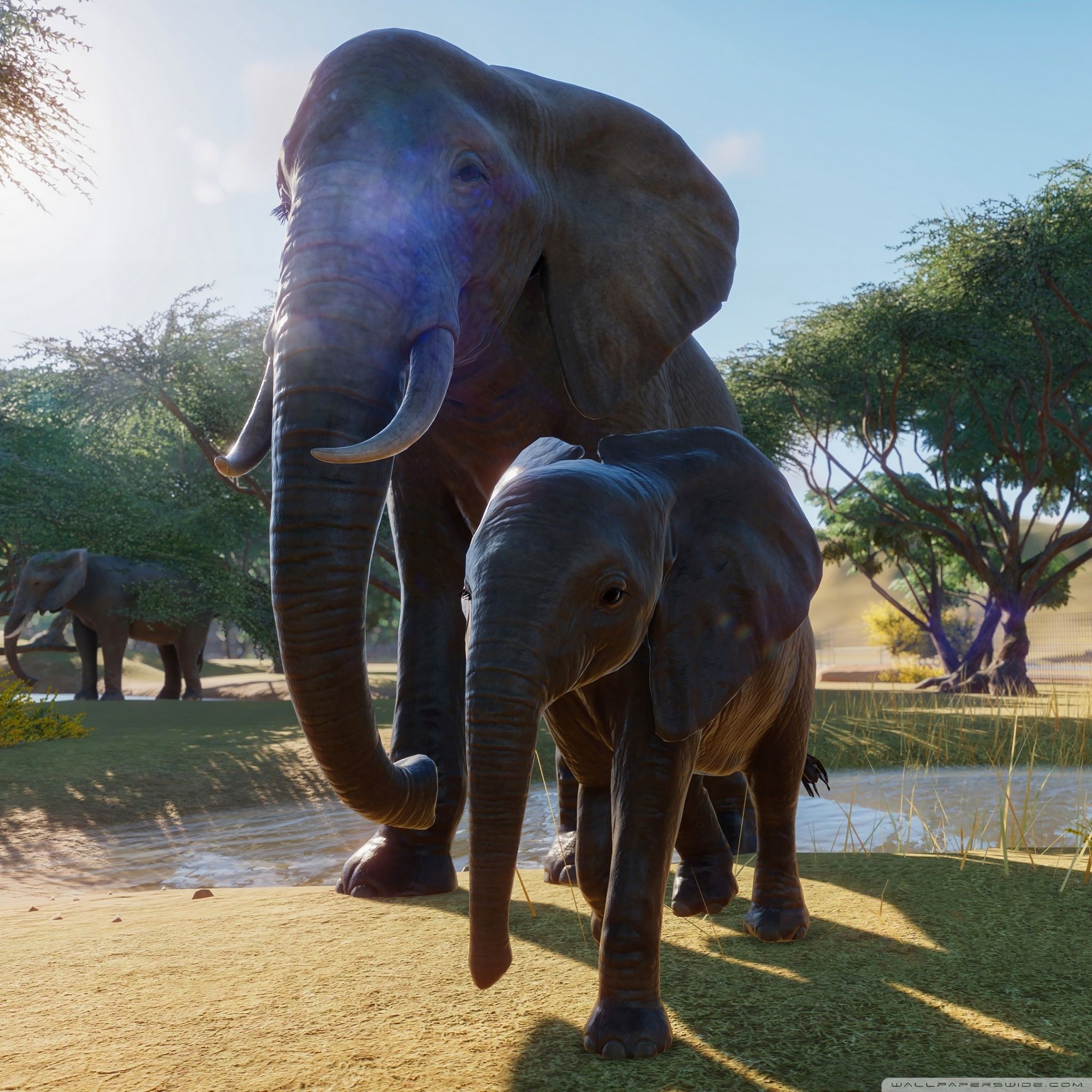 2048x2048 Planet Zoo Video Game Ultra HD Desktop