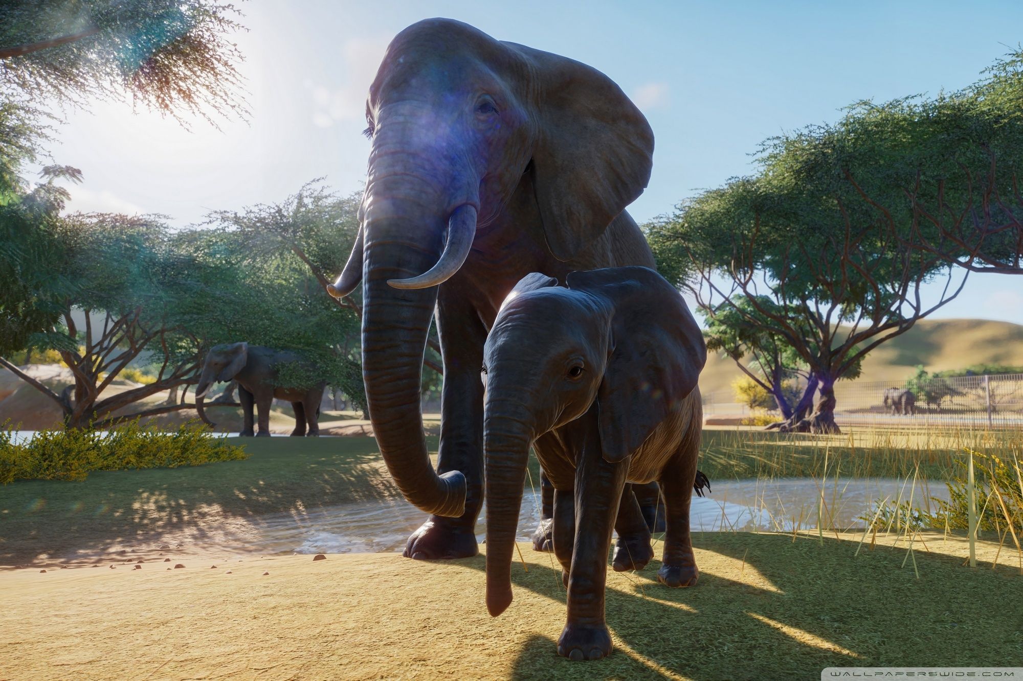 2000x1333 Planet Zoo Video Game Ultra HD Desktop