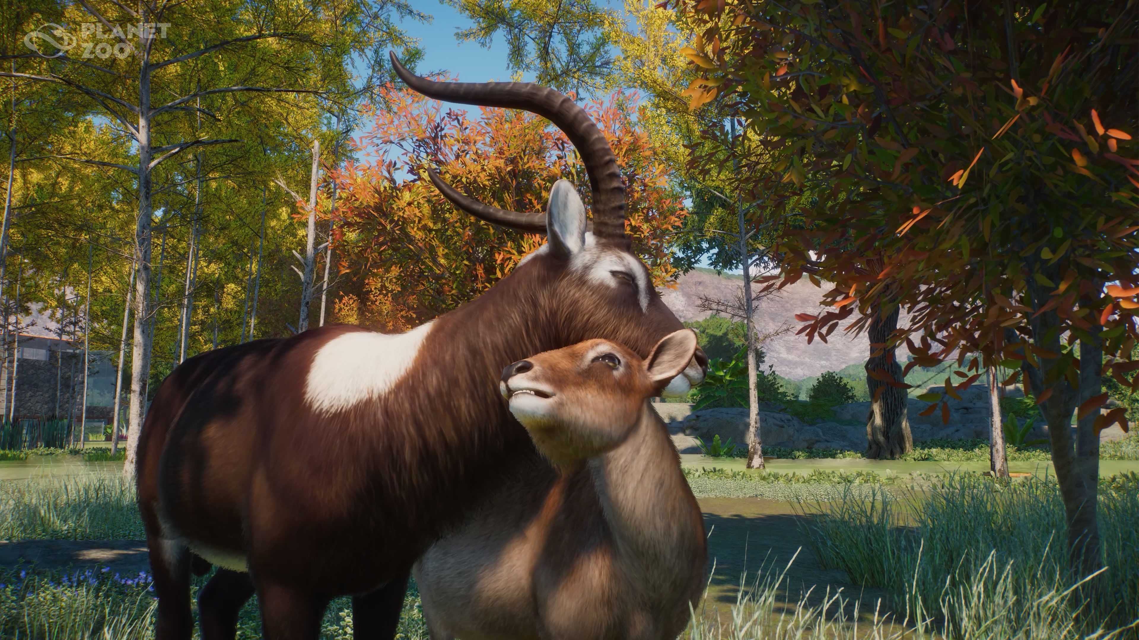 3840x2160 Video Game Planet Zoo 4k Ultra HD Wallpaper