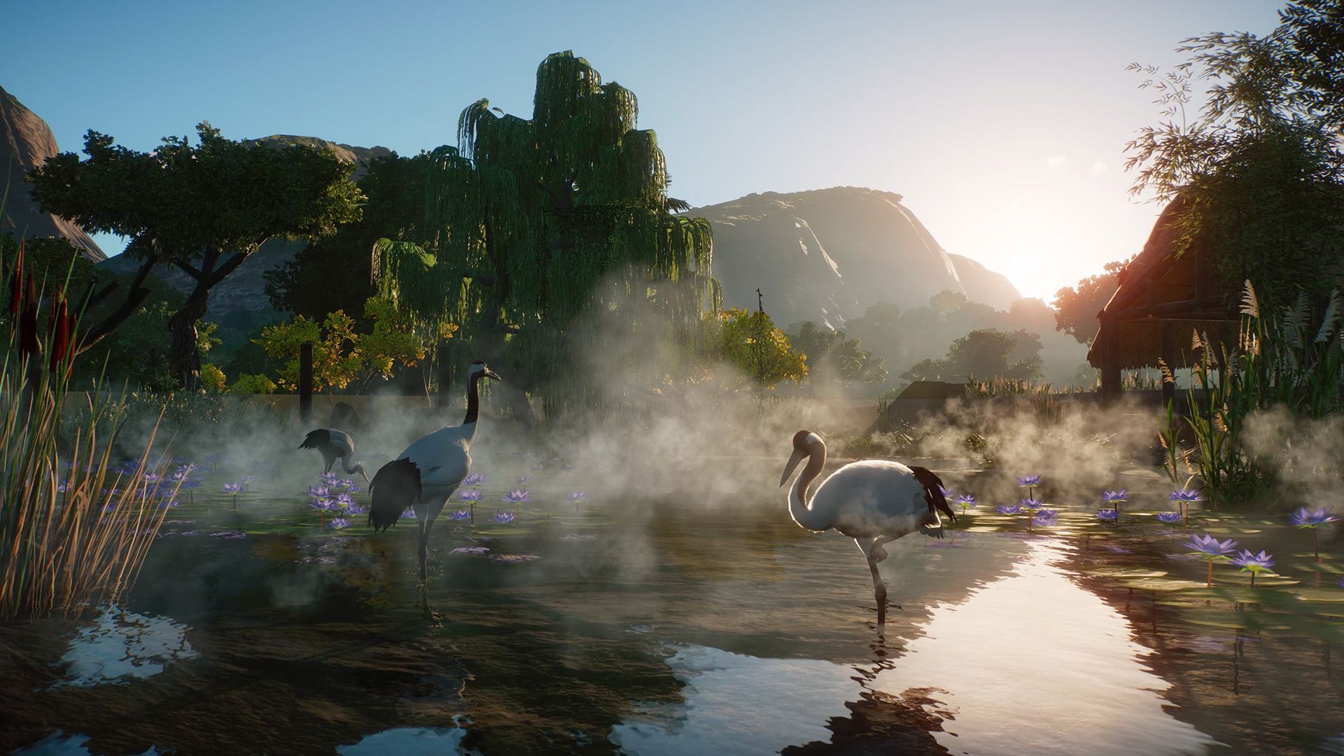 1920x1080 Planet Zoo: Wetlands Animal Pack on Steam