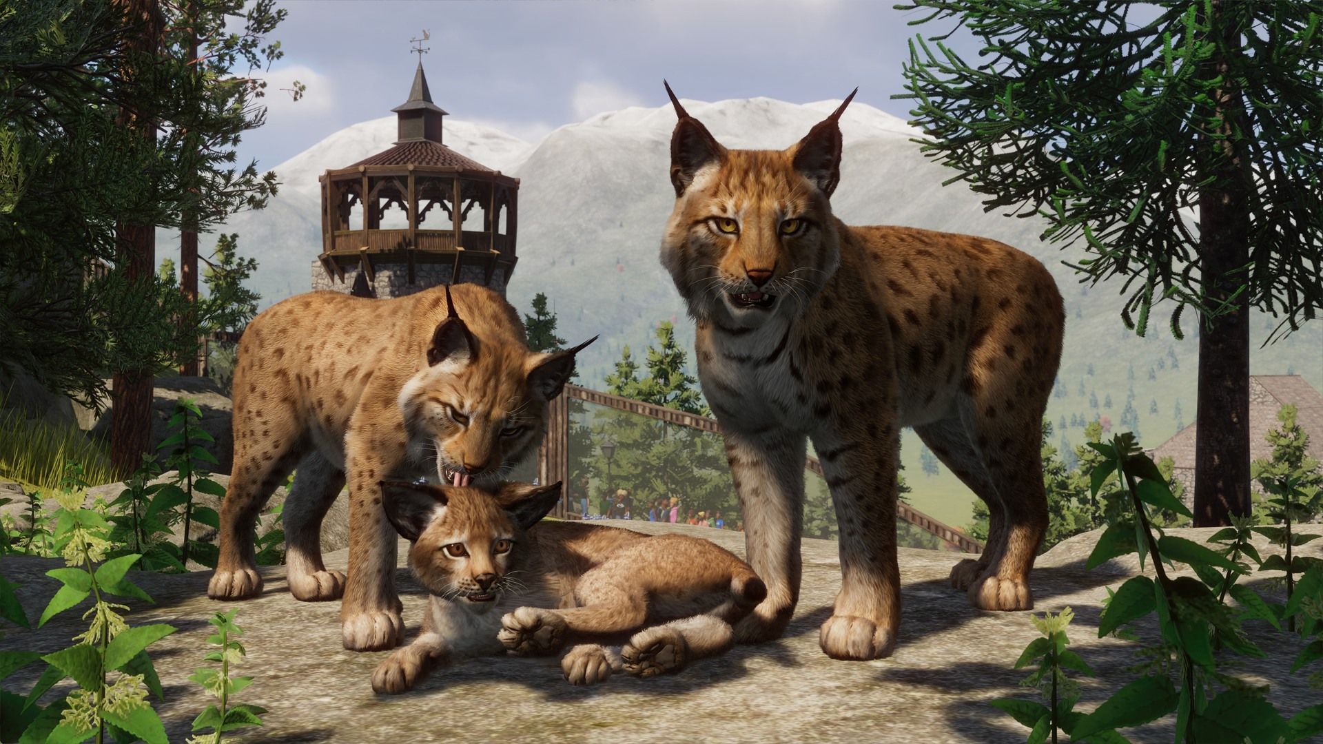 1920x1080 Video Game Planet Zoo HD Wallpaper