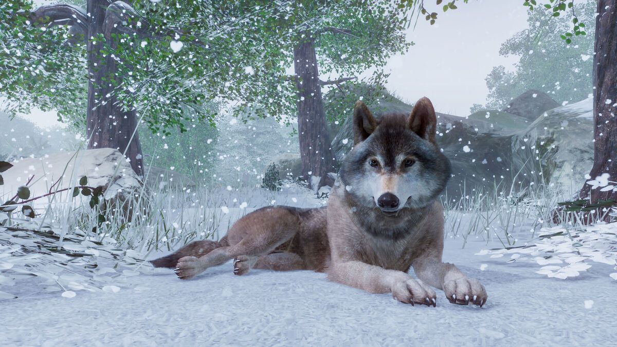 1200x675 Weather
