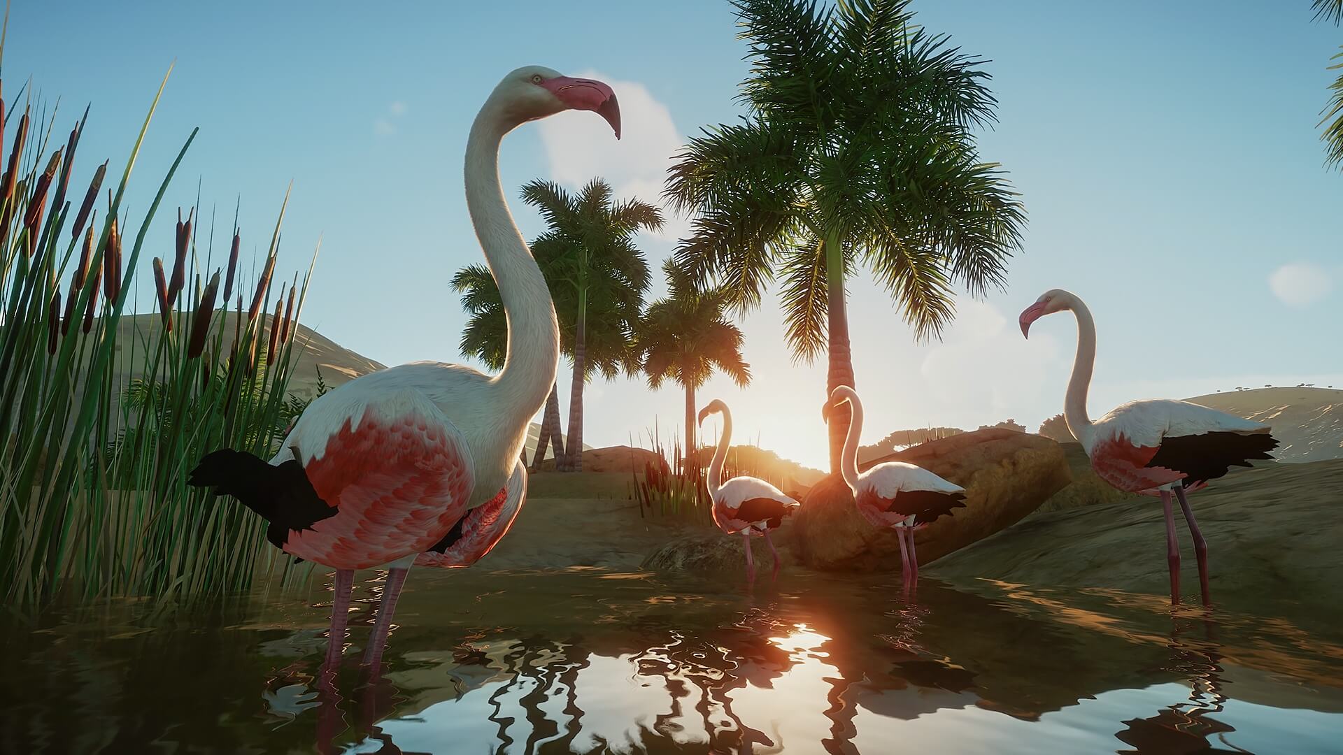 1920x1080 Planet Zoo Deluxe Edition