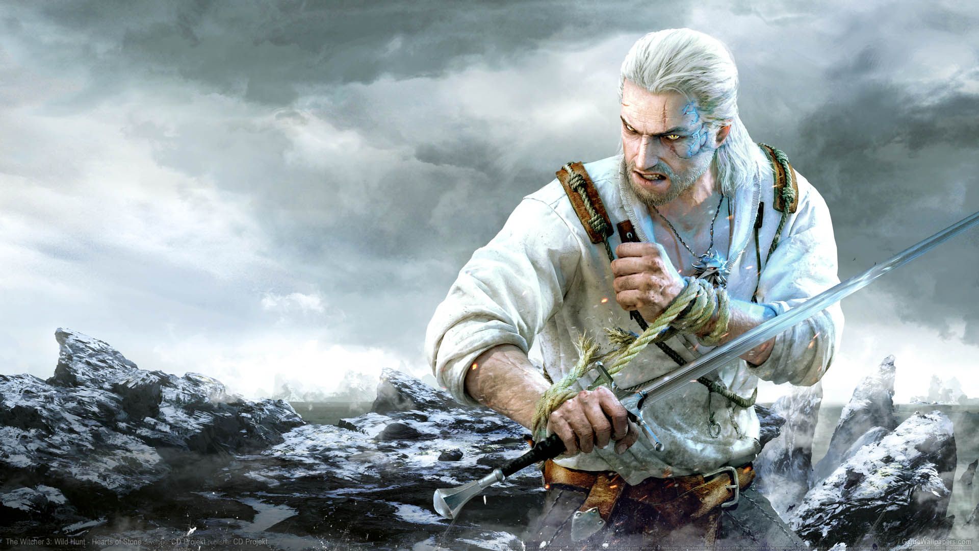 1920x1080 Wild Hunt of Stone wallpaper