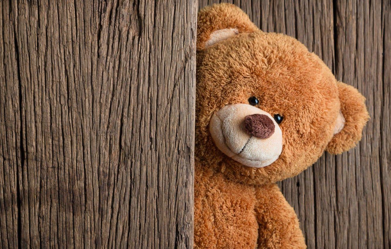 Teddy Bear Day Wallpaper Download : Teddy Bear, Toy, Glare Wallpaper