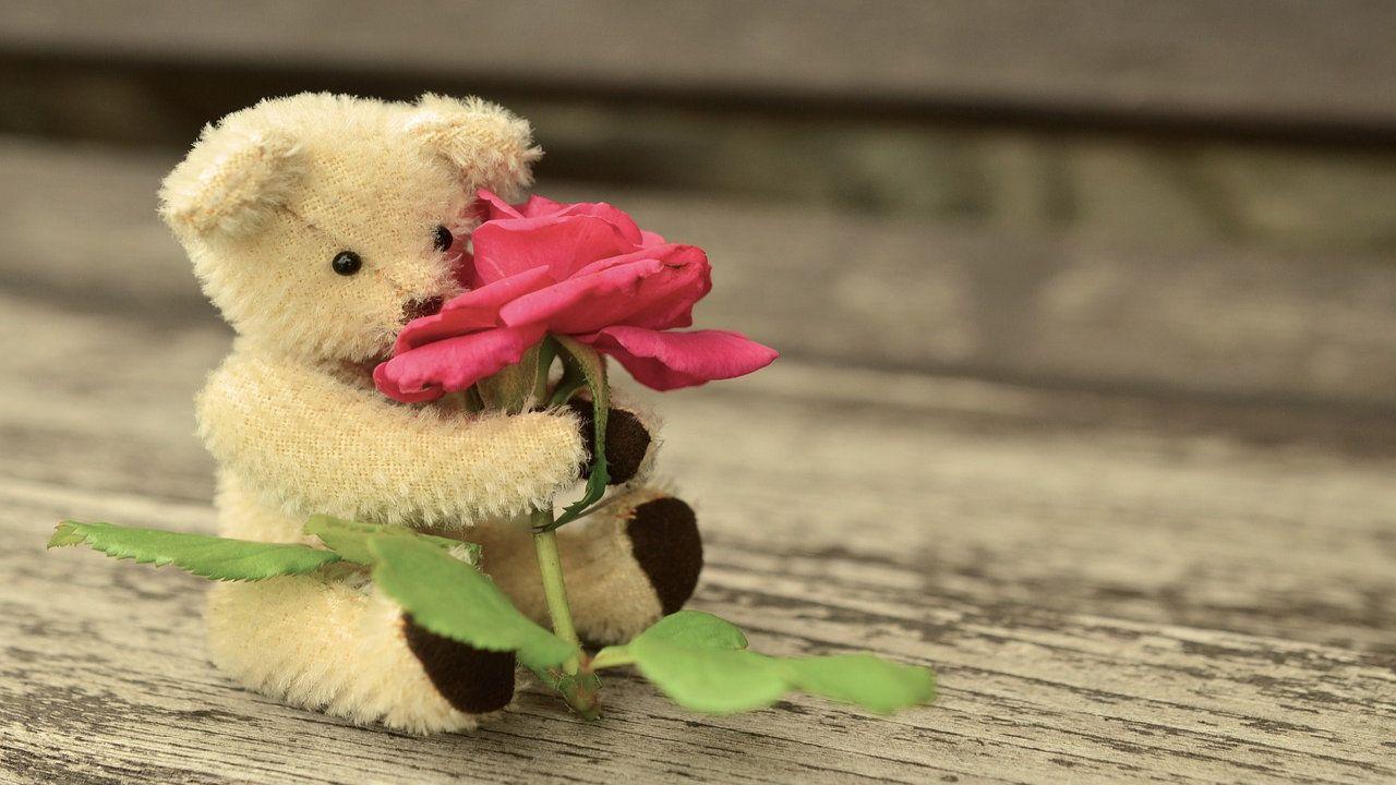 1280x720 Happy Teddy Day Image, Photo, Wallpaper 2019 • Talk