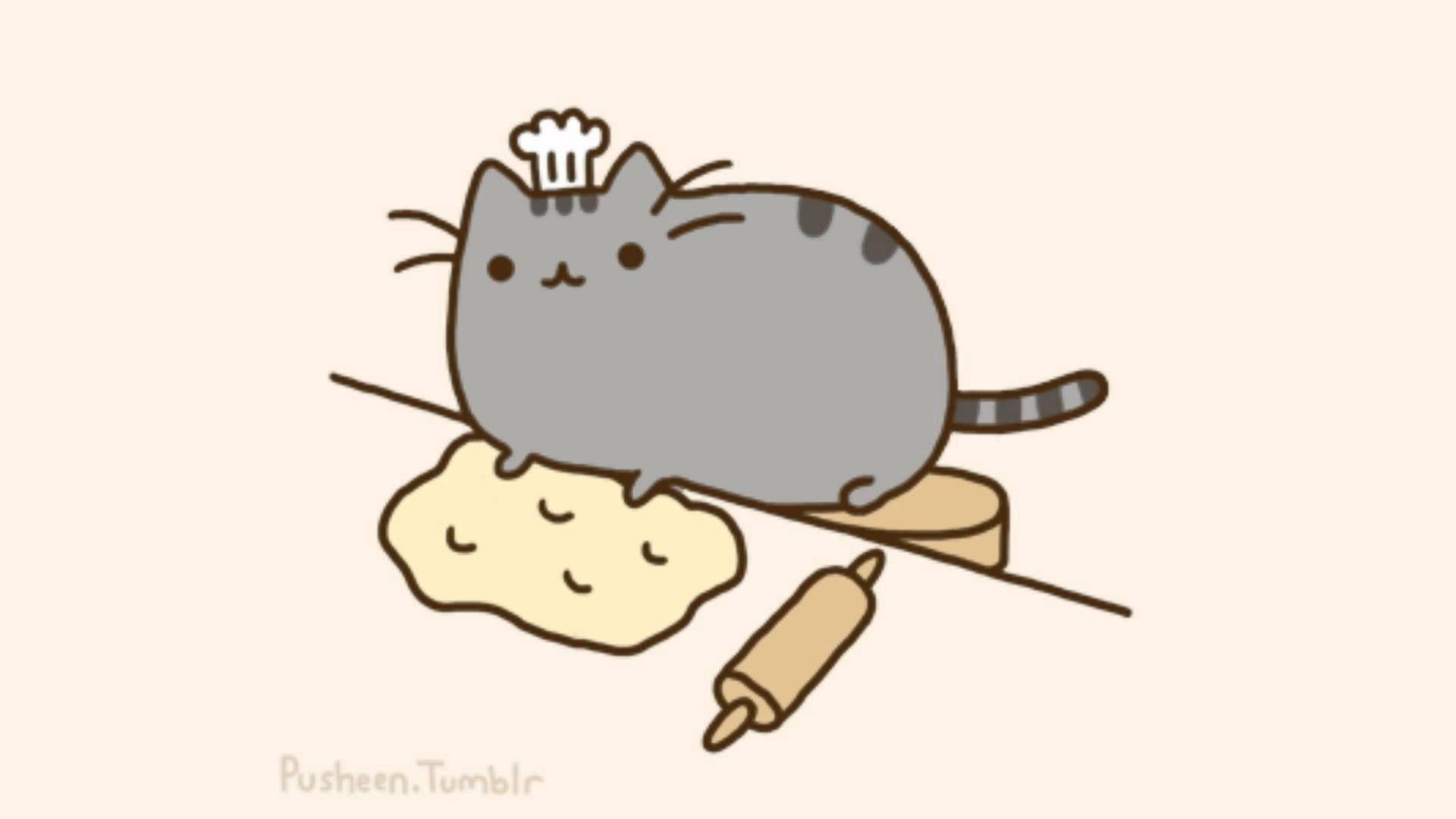 Pusheen Hd Wallpapers Top Free Pusheen Hd Backgrounds Wallpaperaccess