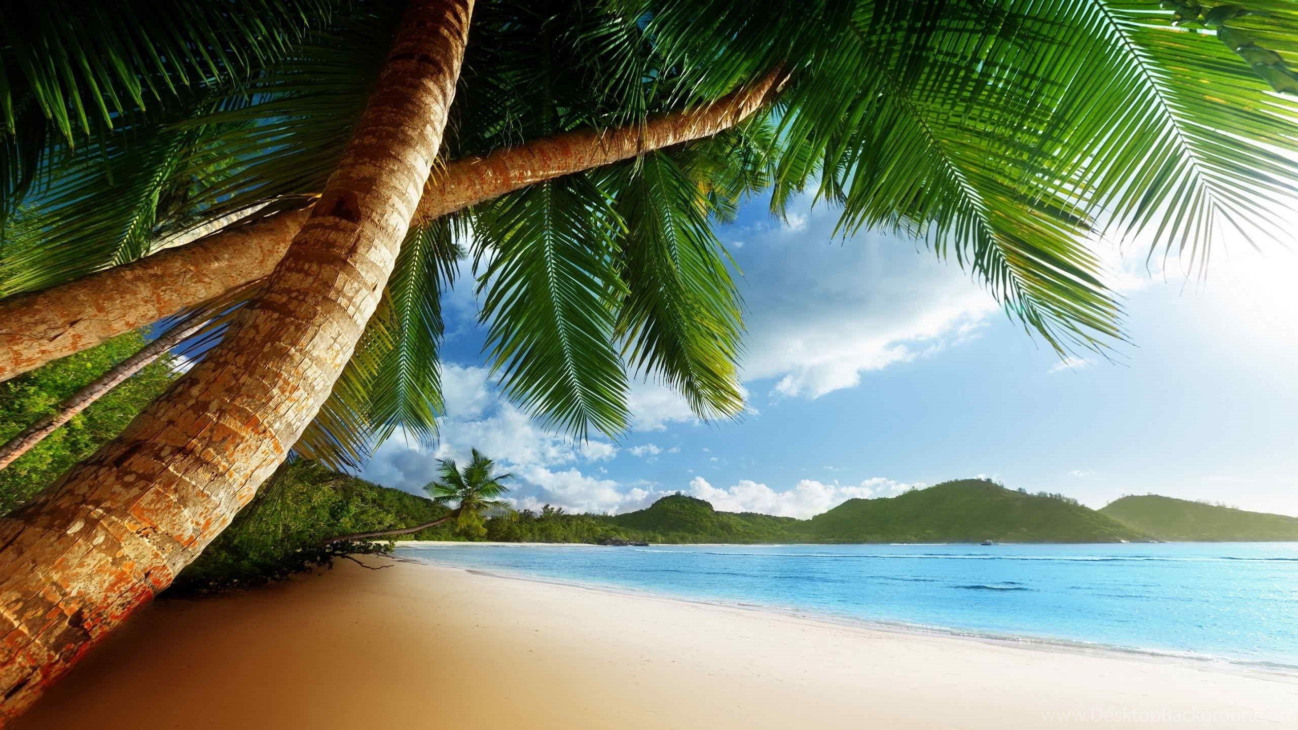 2560x1440 Caribbean HD Desktop Wallpaper Toptenpack.com Desktop Background