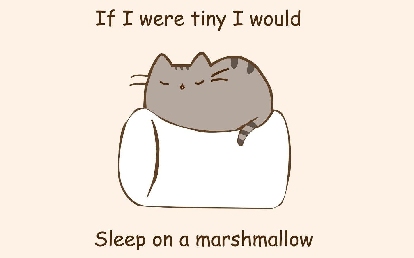 1440x900 HD wallpaper: gray cat clip art, pusheen, pusheenthecat
