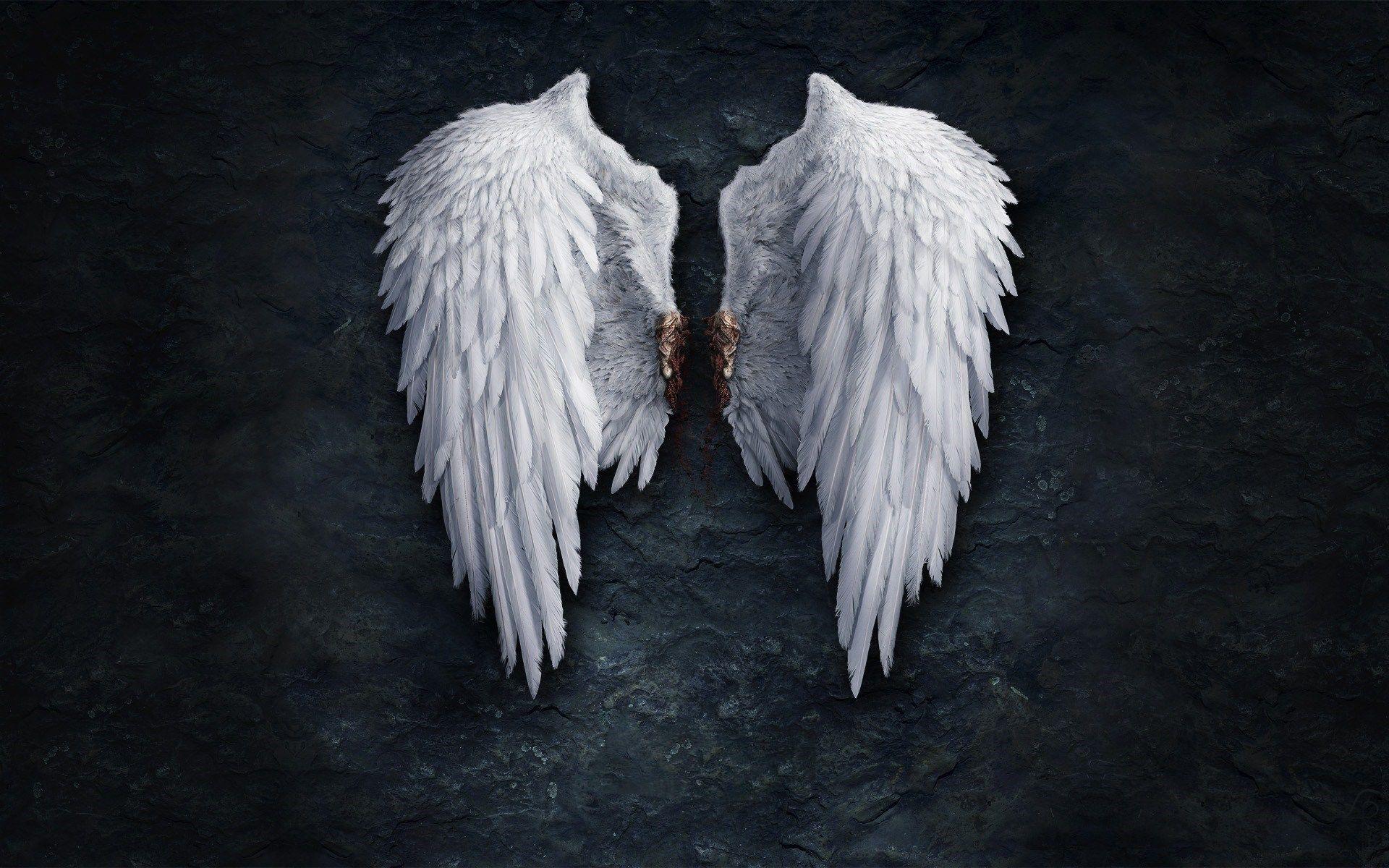 1920x1200 Angel Wallpaper High Quality