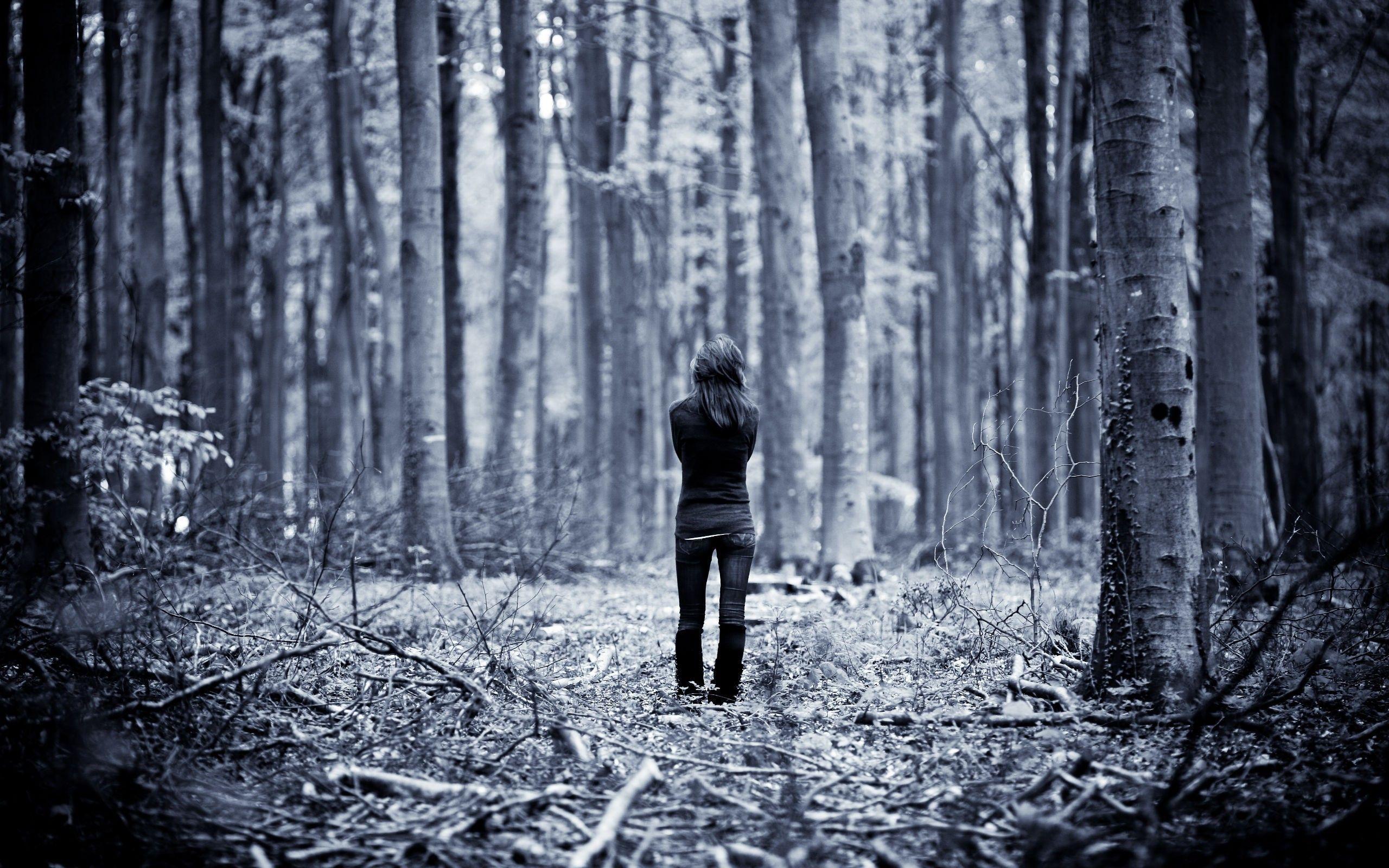 2560x1600 women, ice, forest, alone, monochrome wallpaper