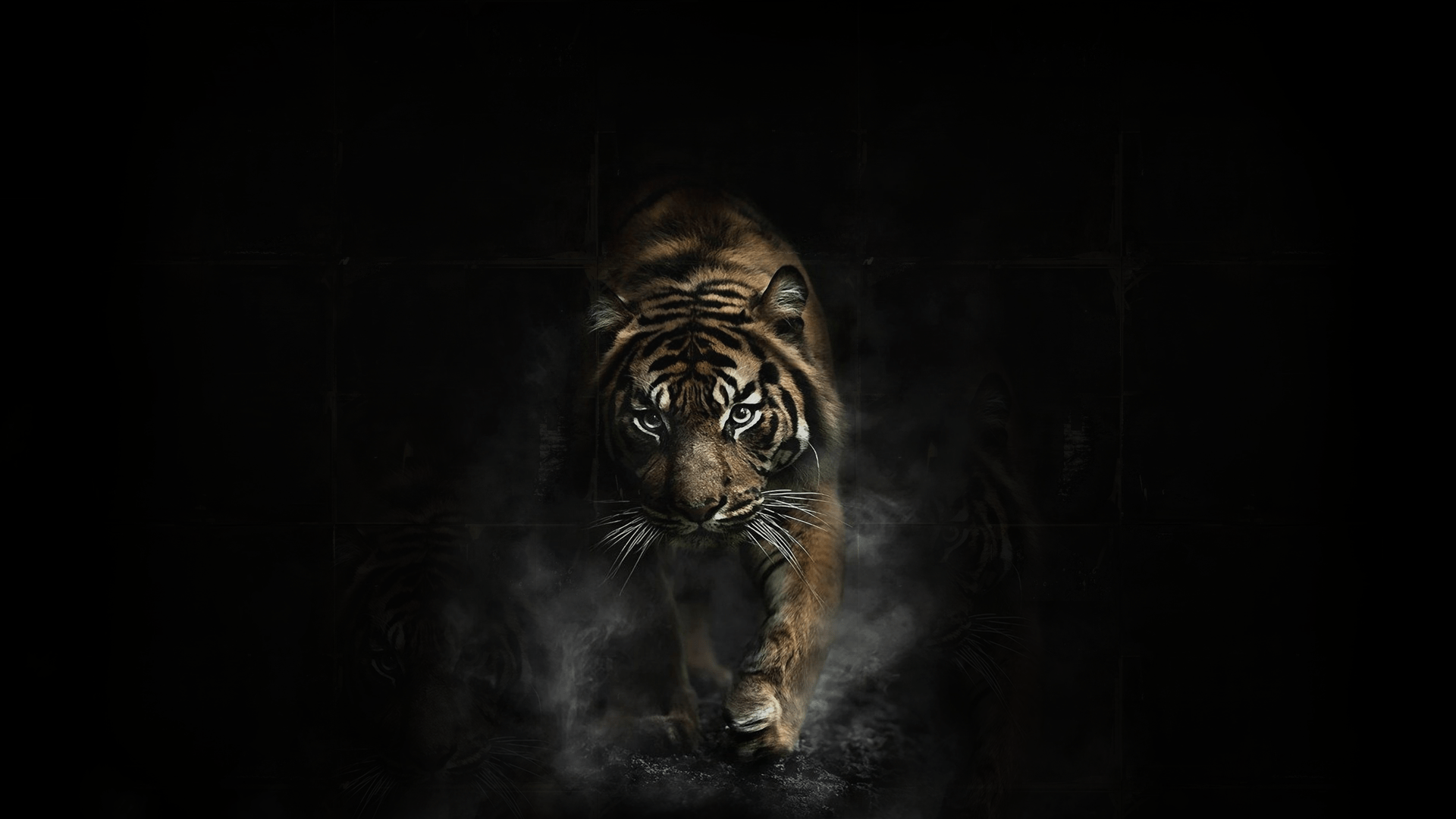 Tiger Art Wallpapers - Top Free Tiger Art Backgrounds - WallpaperAccess