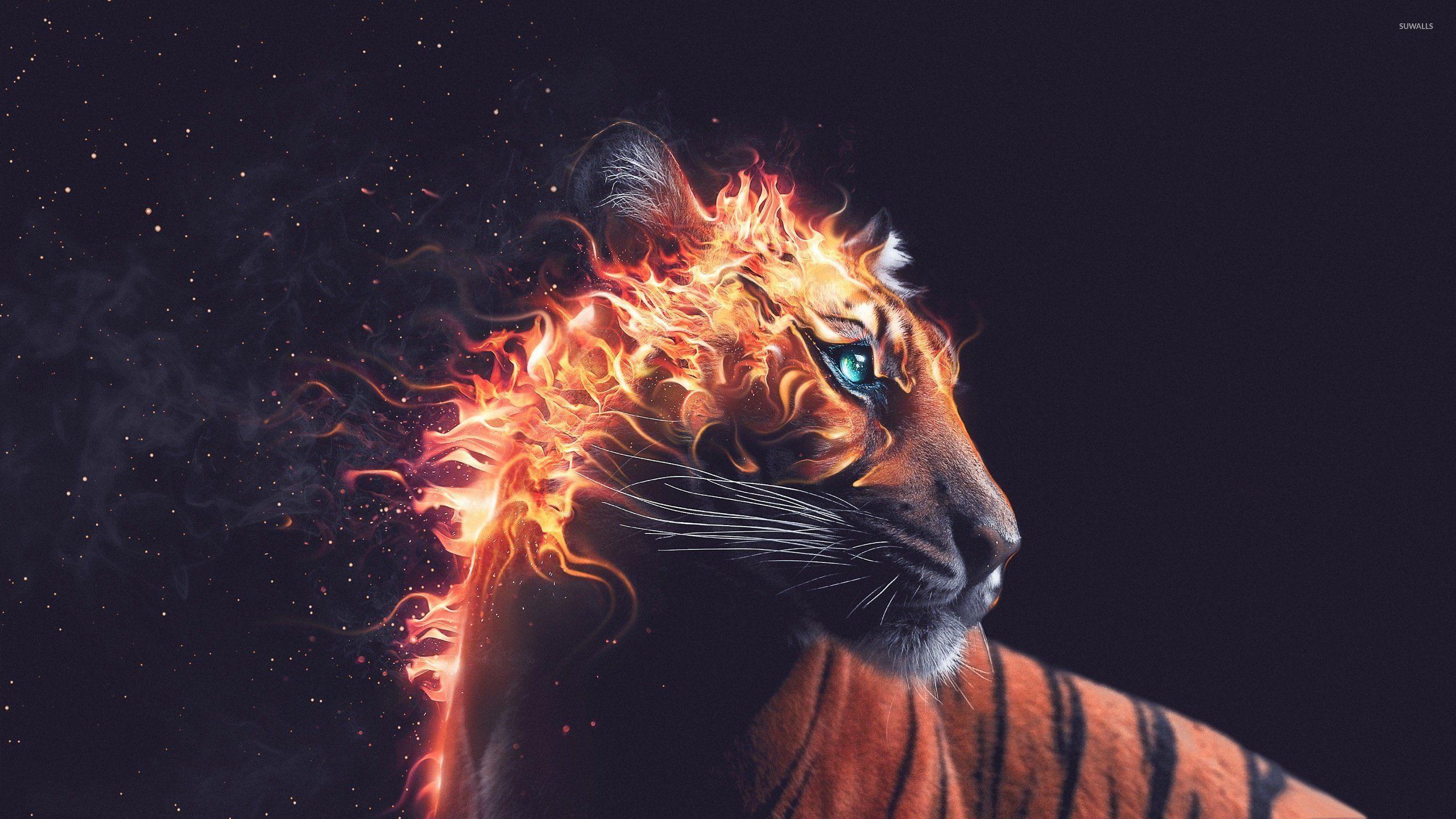 2560x1440 Flaming tiger wallpaper wallpaper