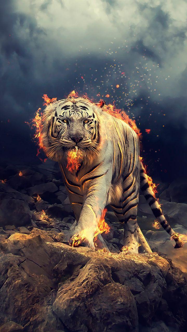 720x1280 Angry, raging, white tiger, 720x1280 wallpaper. Abstract