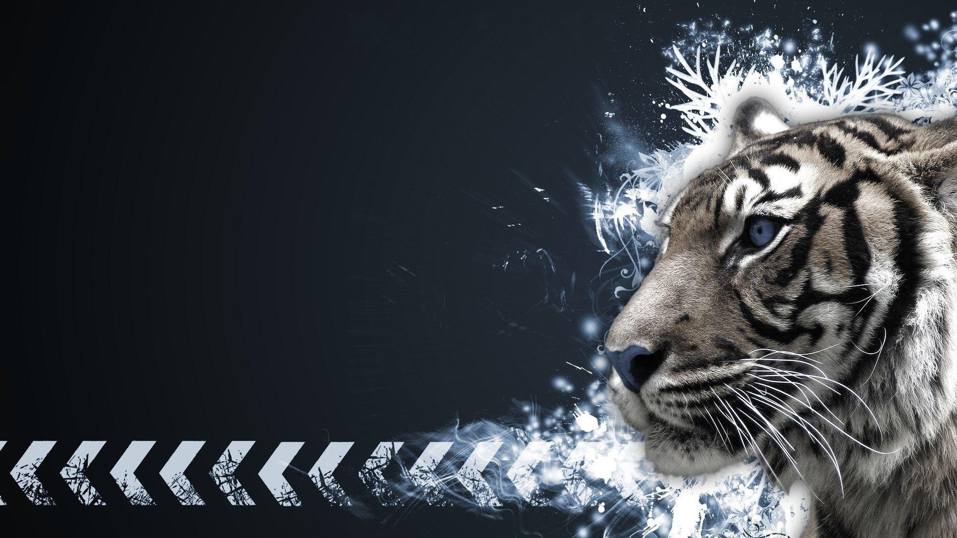 1920x1080 Baby White Tiger Wallpaper background picture