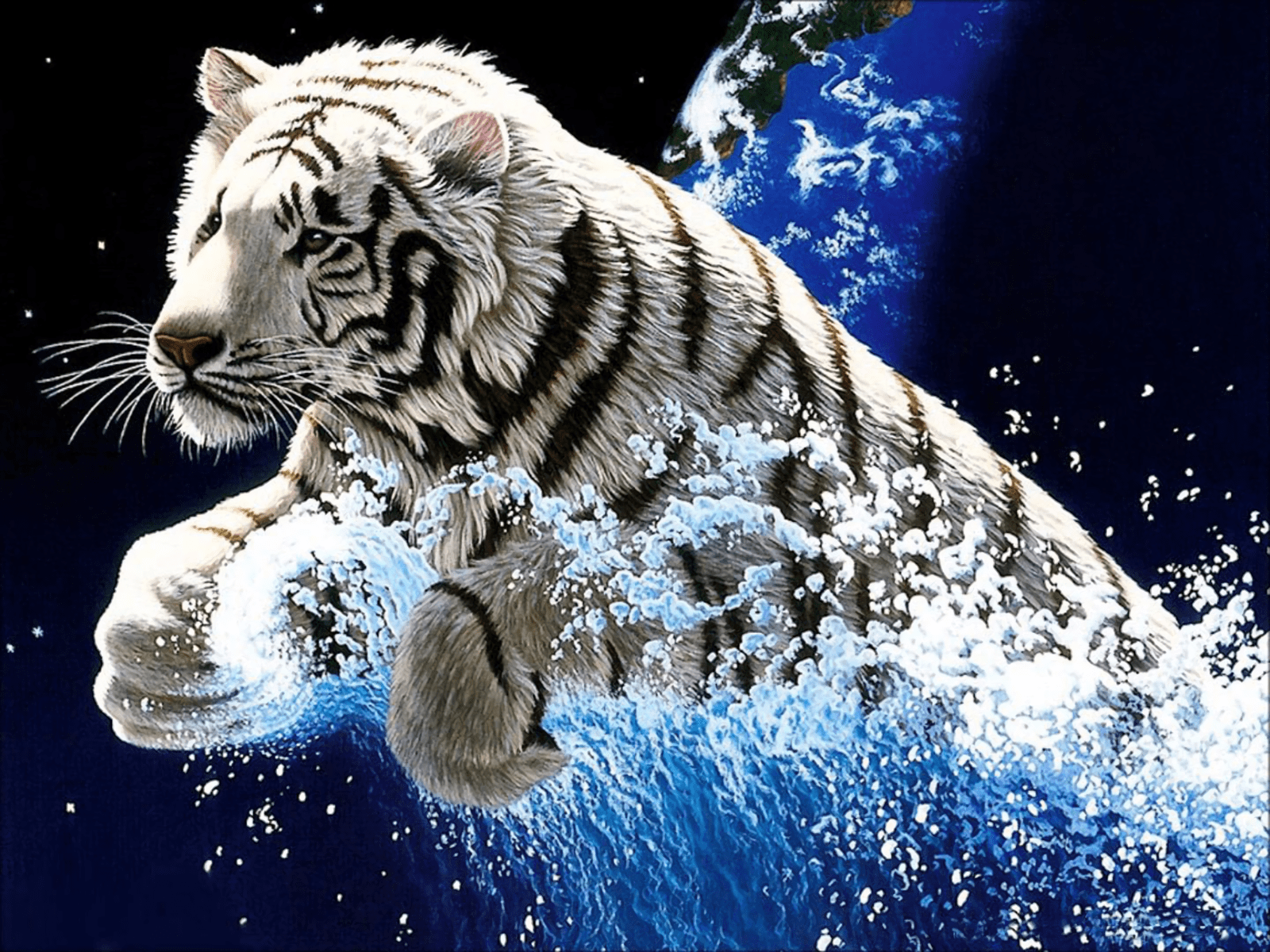 1600x1200 White Tiger HD Wallpaper