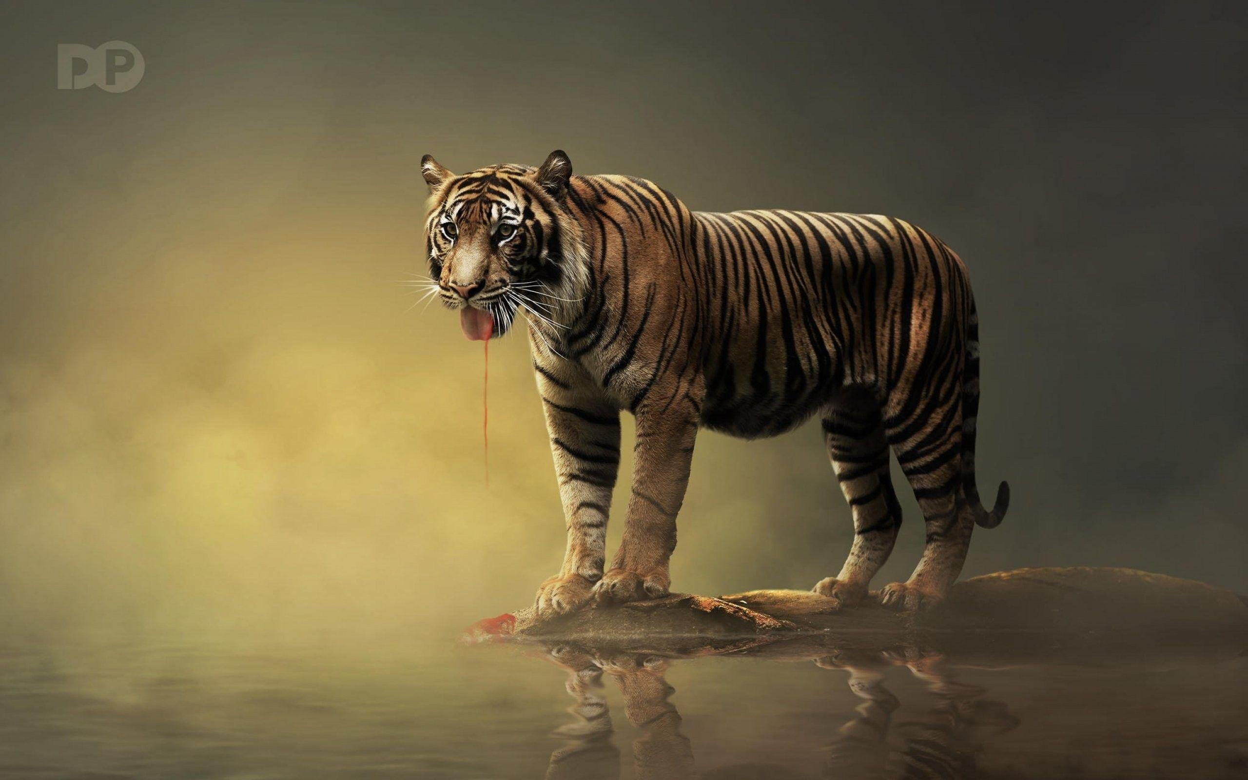 2560x1600 Predator, Background, Free, Artwork, Game Wallpaper