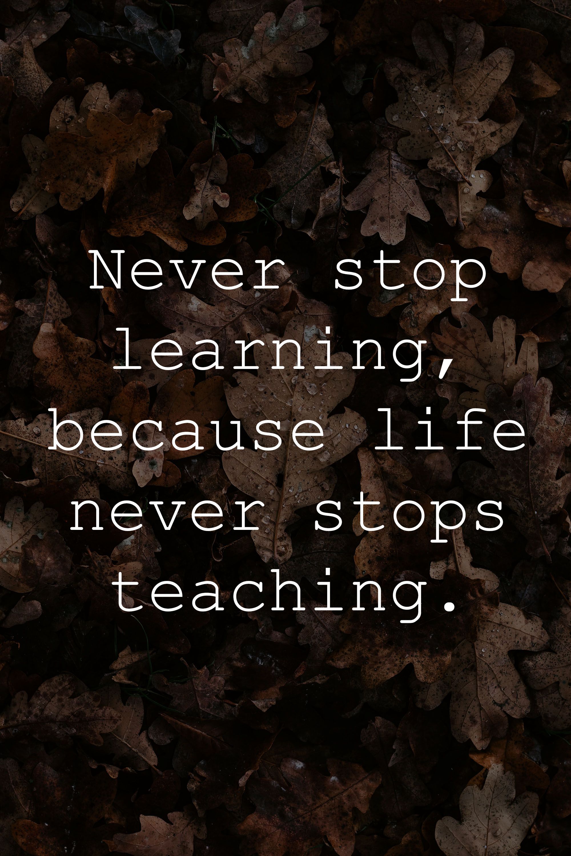 Never Stop Learning Wallpapers - Top Free Never Stop Learning ...