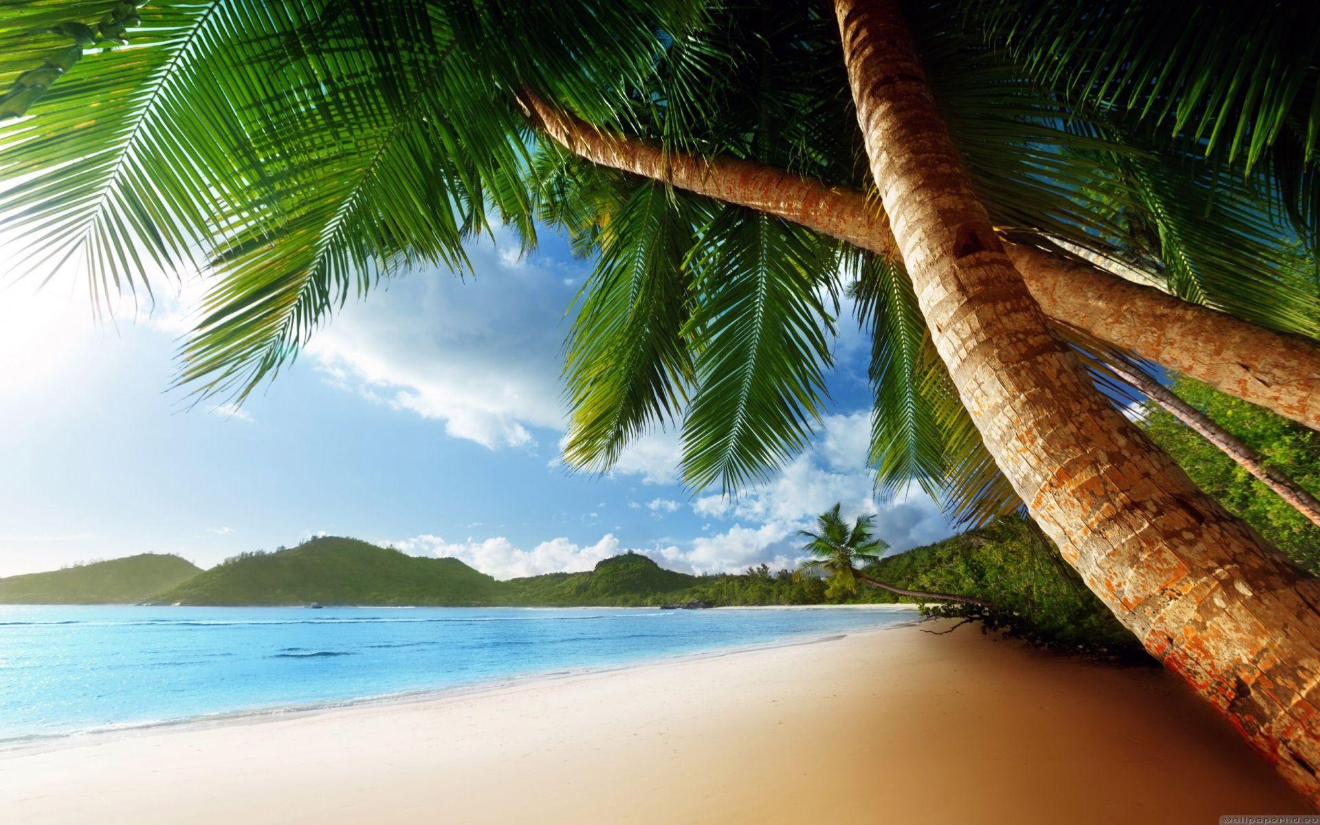 1920x1200 Caribbean Desktop Wallpaper