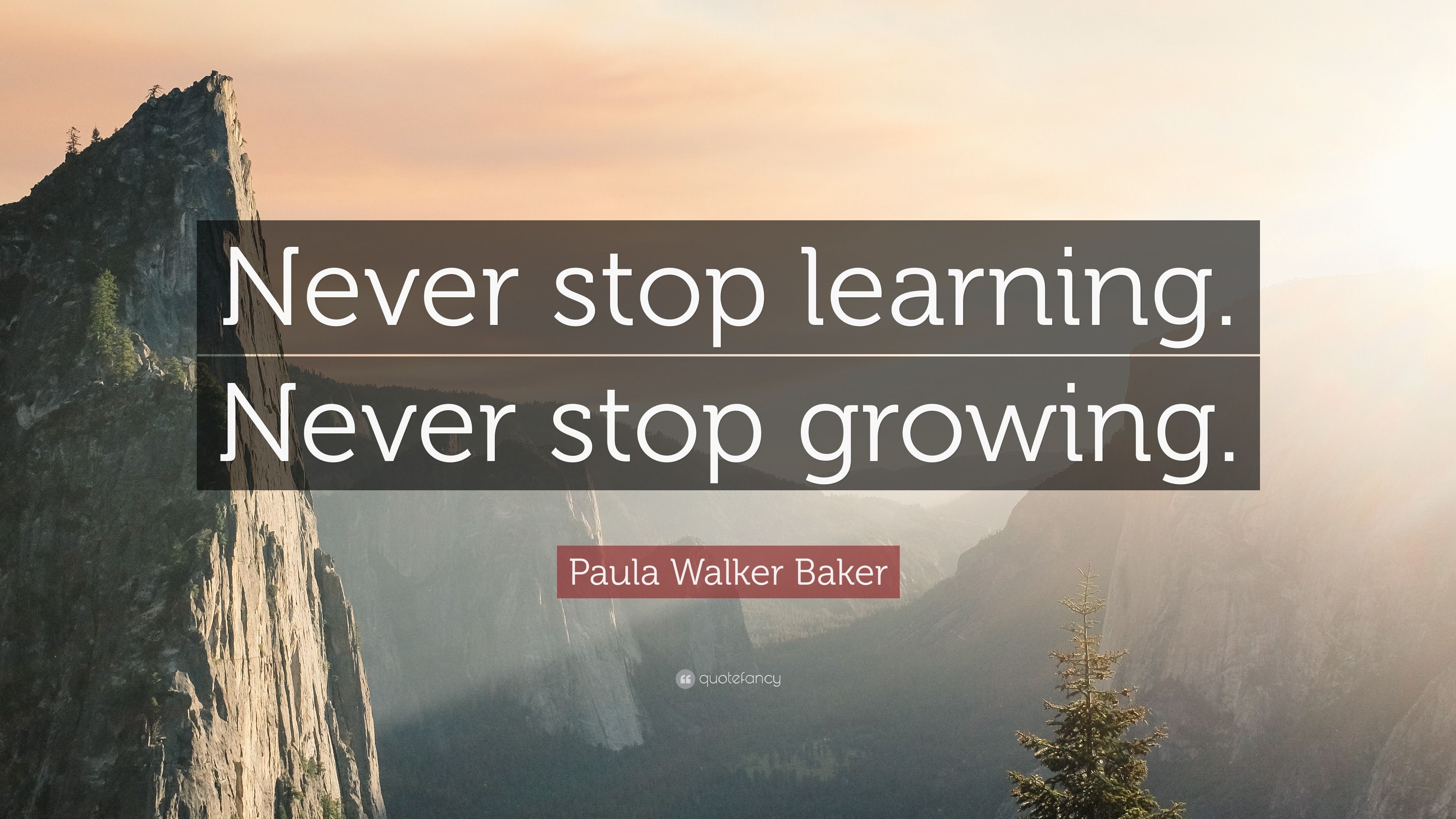 Never Stop Learning Wallpapers - Top Free Never Stop Learning ...