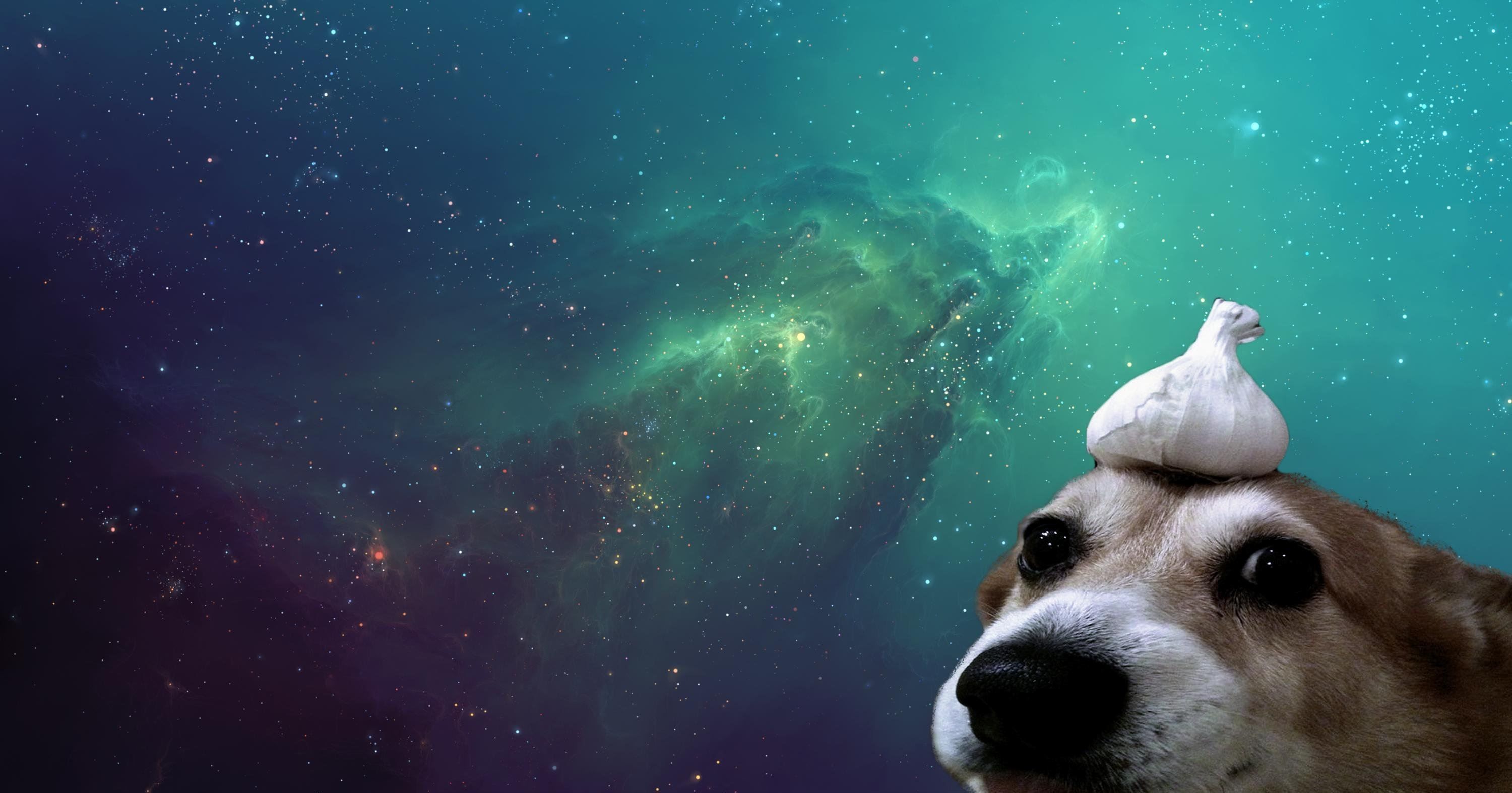 3000x1574 Doggo (1920x1080)