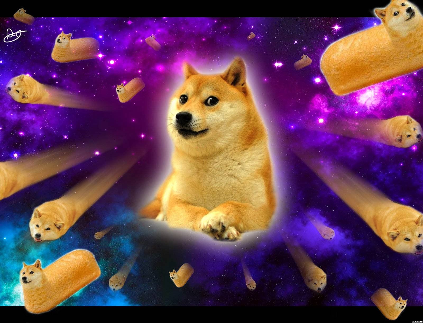 1600x1224 space! #doge #universe #wallpaper