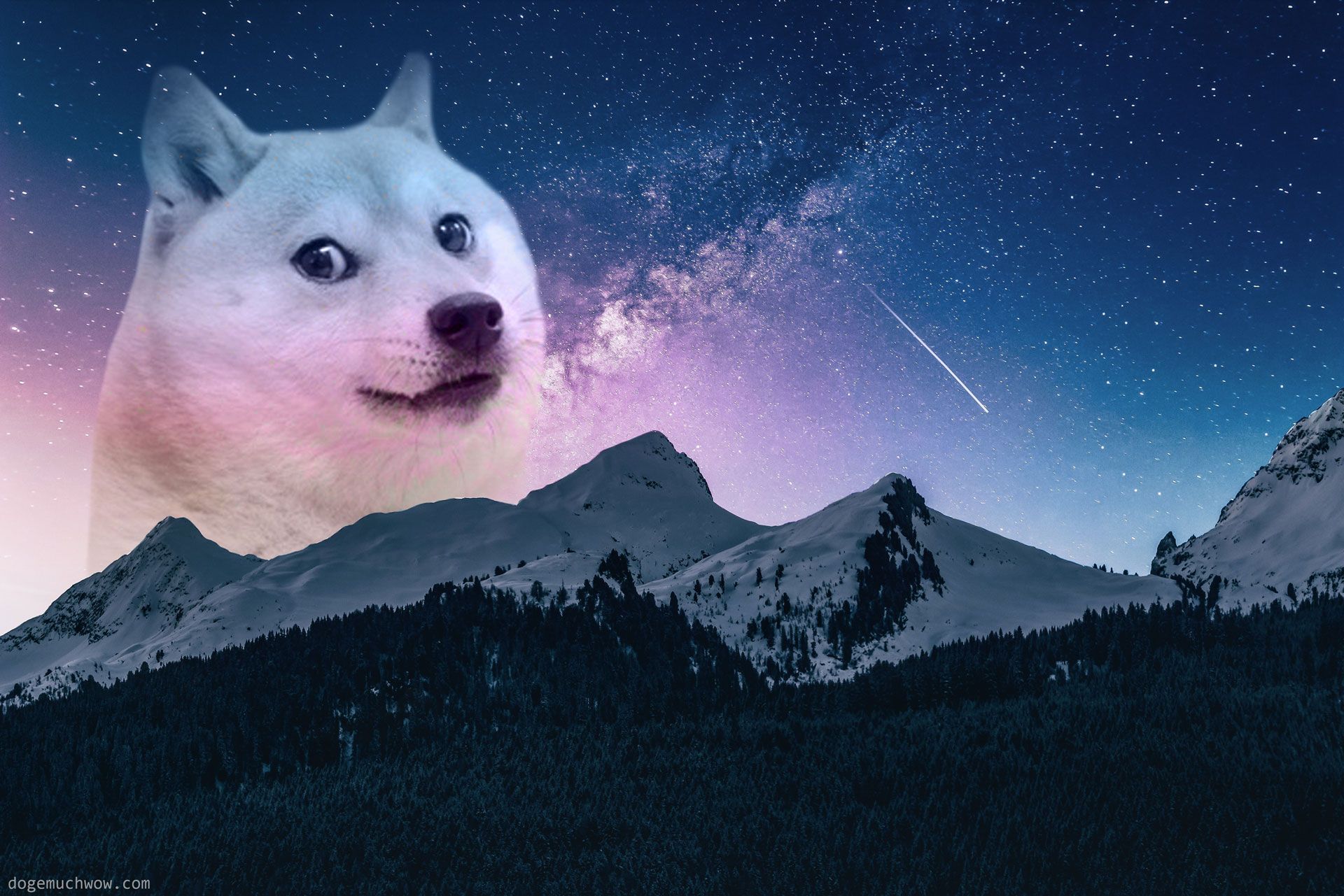 1920x1281 Space Doge Wallpaper