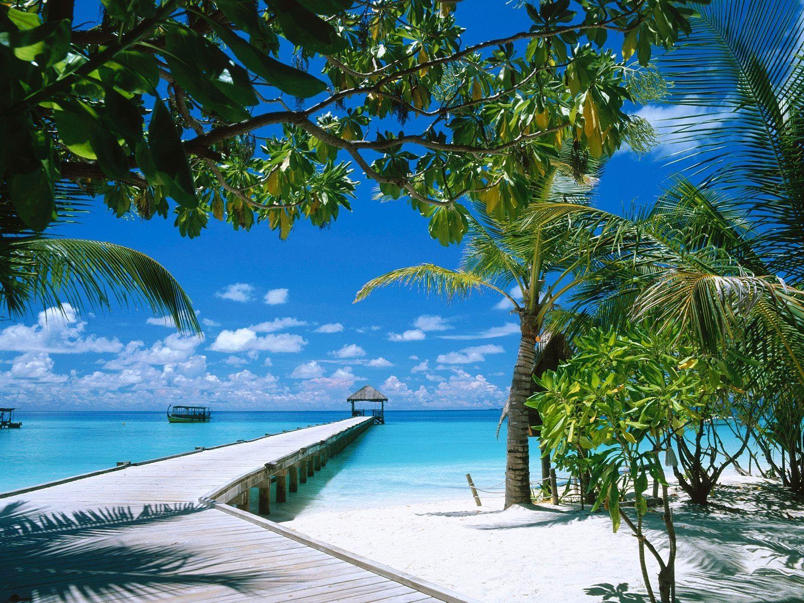1600x1200 Fresh Disney's Caribbean Beach Resort Phone Wallpaper. The Most