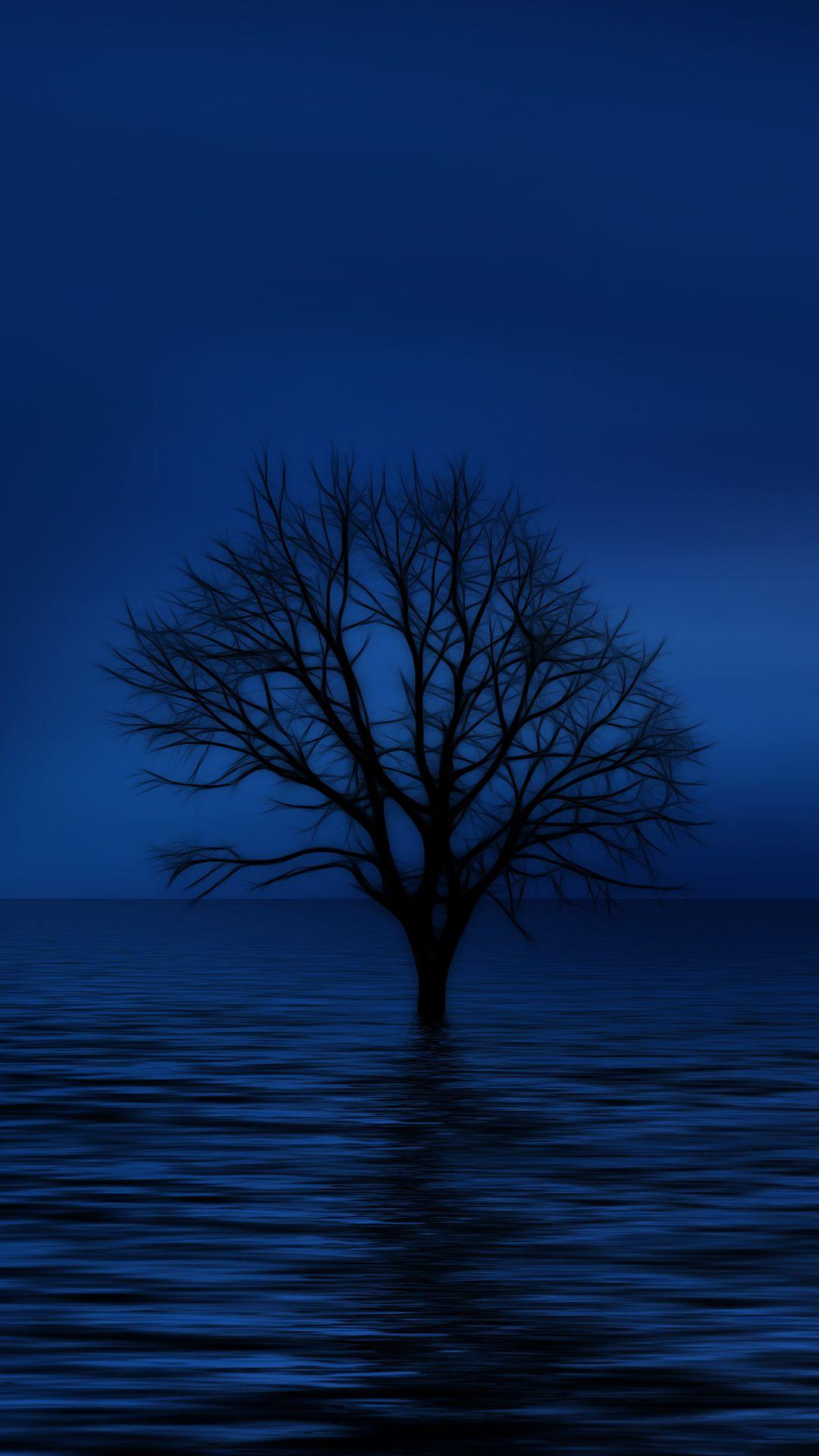 1080x1920 Blue Tree Cool Samsung Galaxy S7 Wallpaper