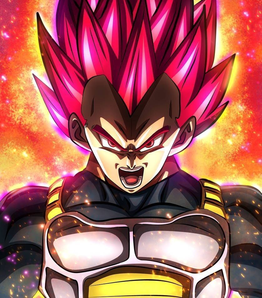 838x954 Vegeta SSJ God Wallpaper