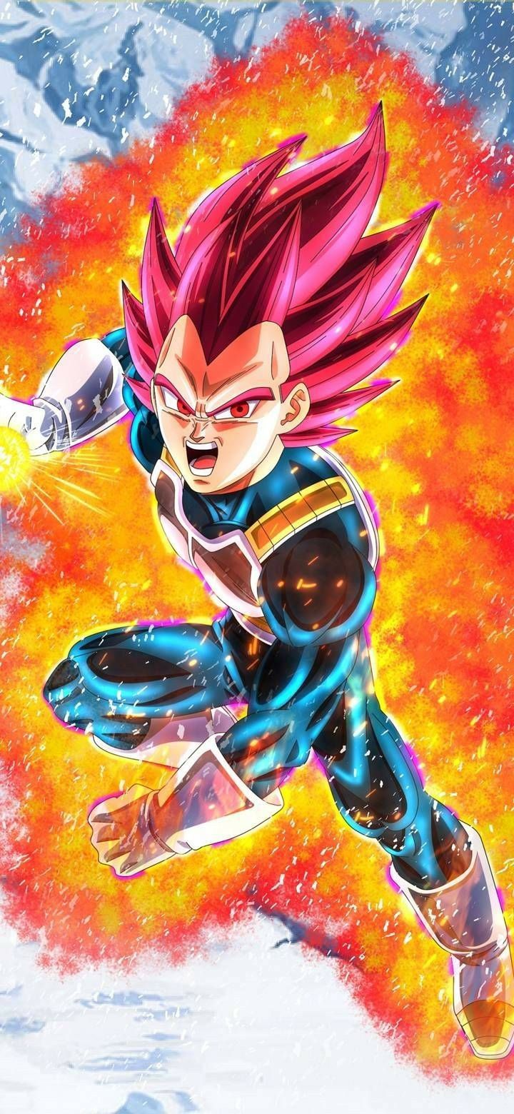 720x1560 Vegeta super sayajin god. Dragon ball