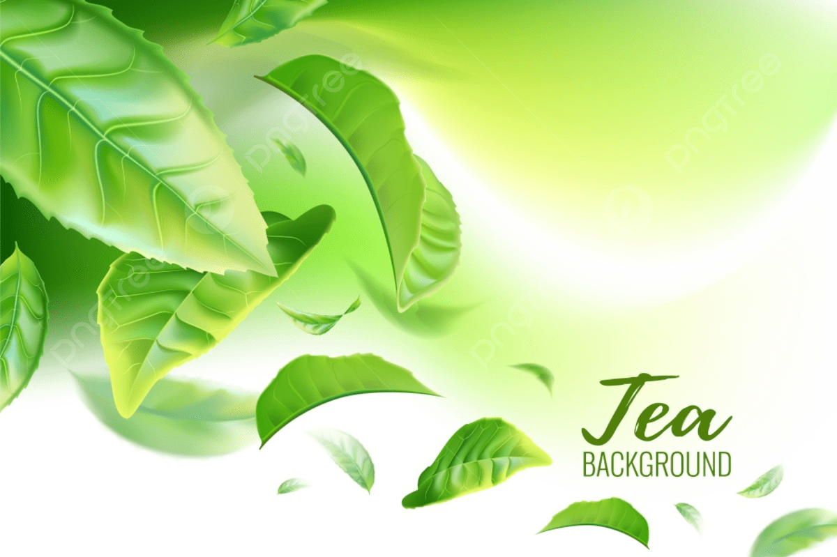 1200x799 Realistic Green Tea Leaves Background