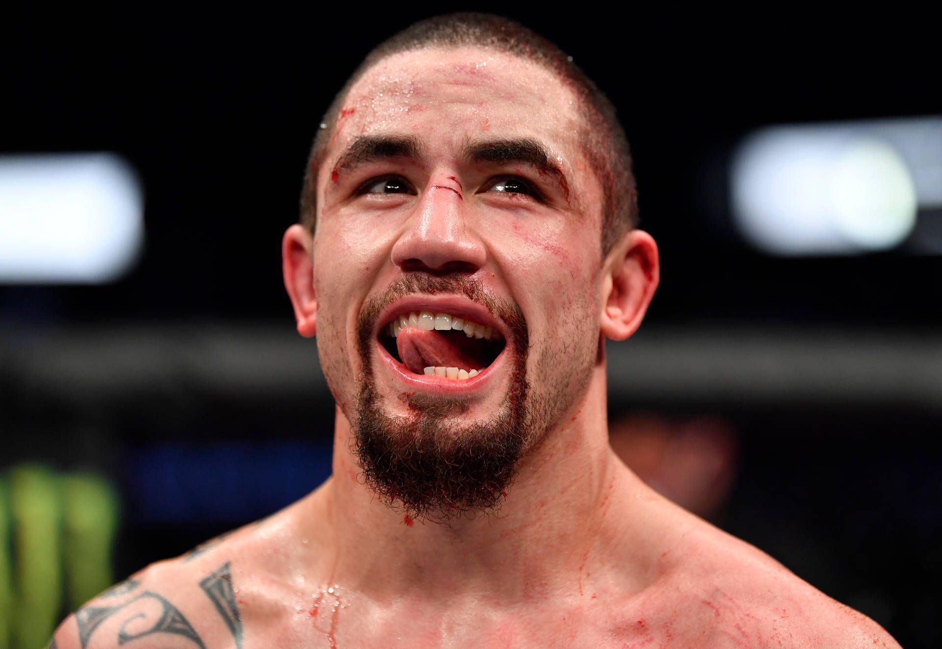 Robert Whittaker Wallpapers Top Free Robert Whittaker Backgrounds