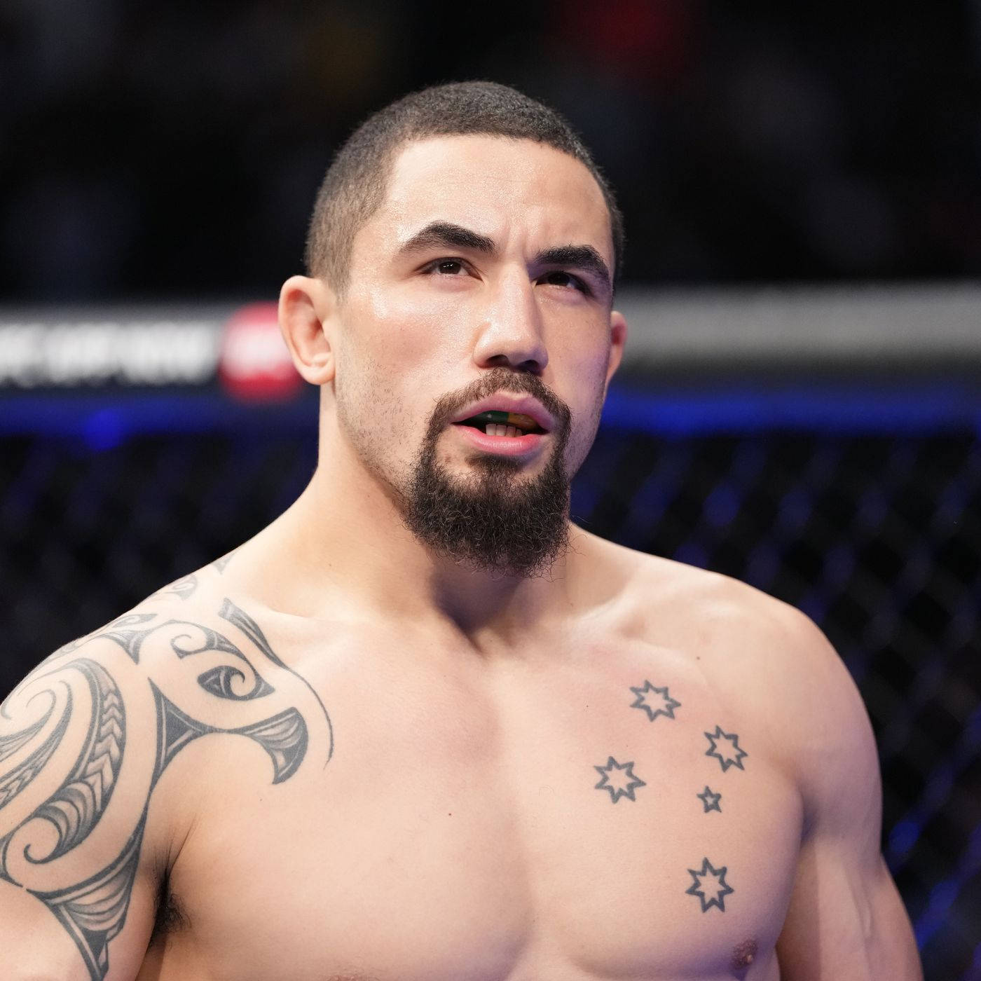 1400x1400 Download Robert Whittaker Portrait