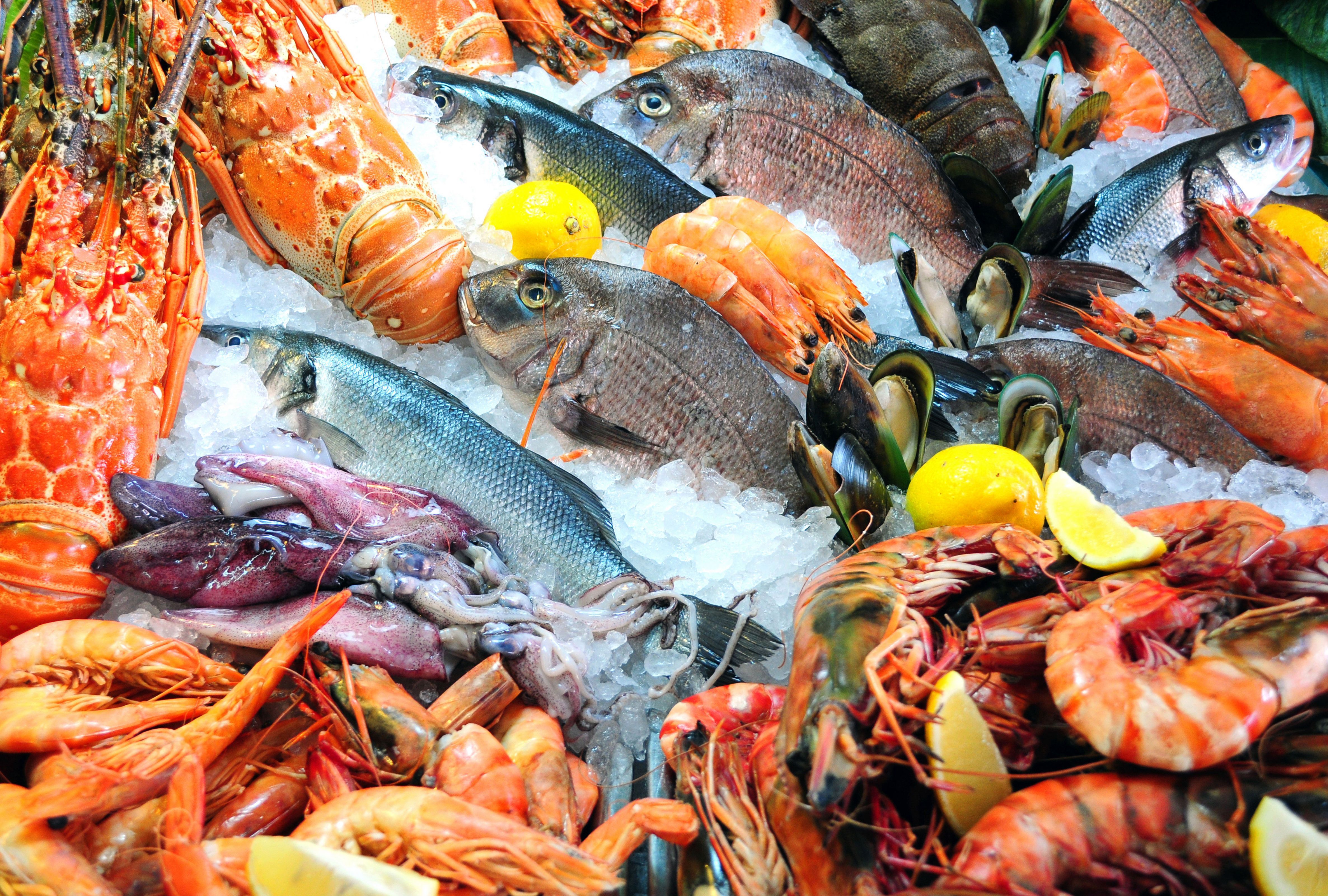 4745x3200 Food Seafood 4k Ultra HD Wallpaper