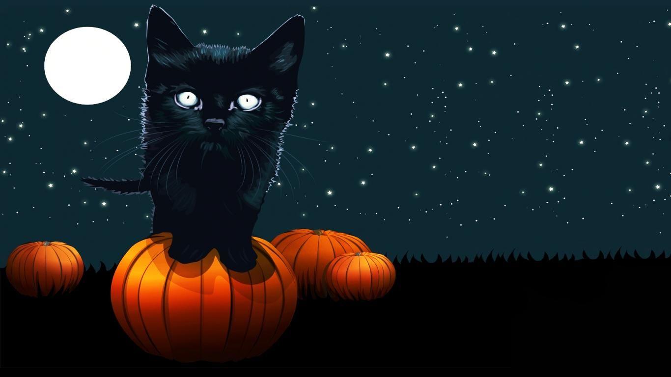1366x768 Free download Halloween black cat wallpaper1366x76861228