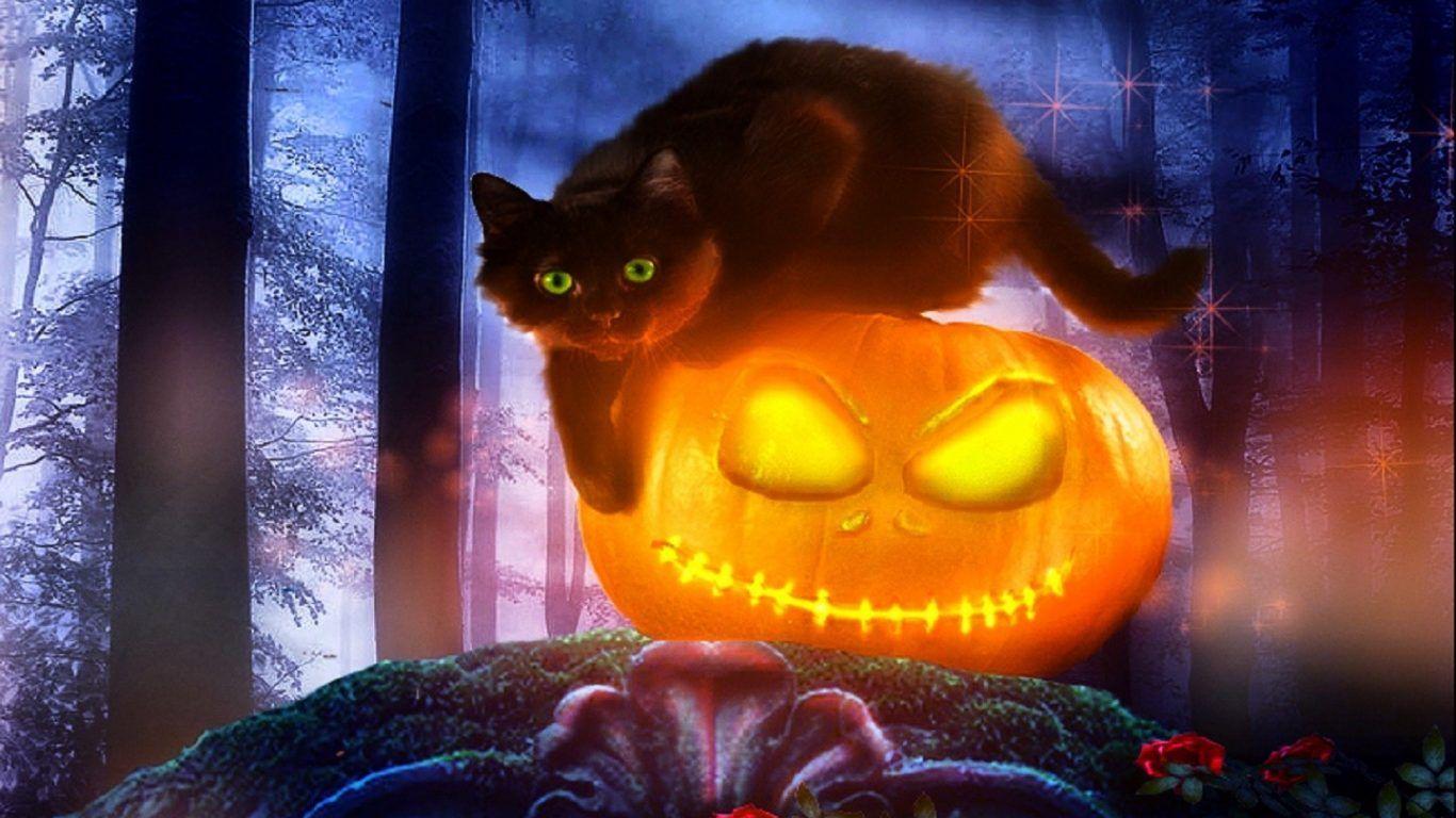 Cute Black Cat Halloween Wallpapers - Top Free Cute Black Cat Halloween ...