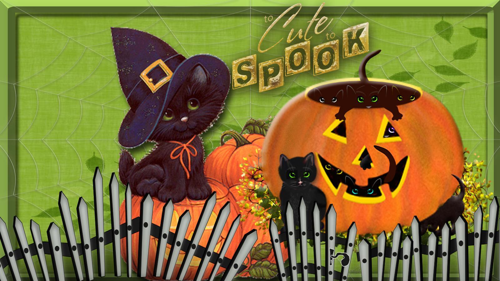 1600x900 Too Cute to Spook wallpaper