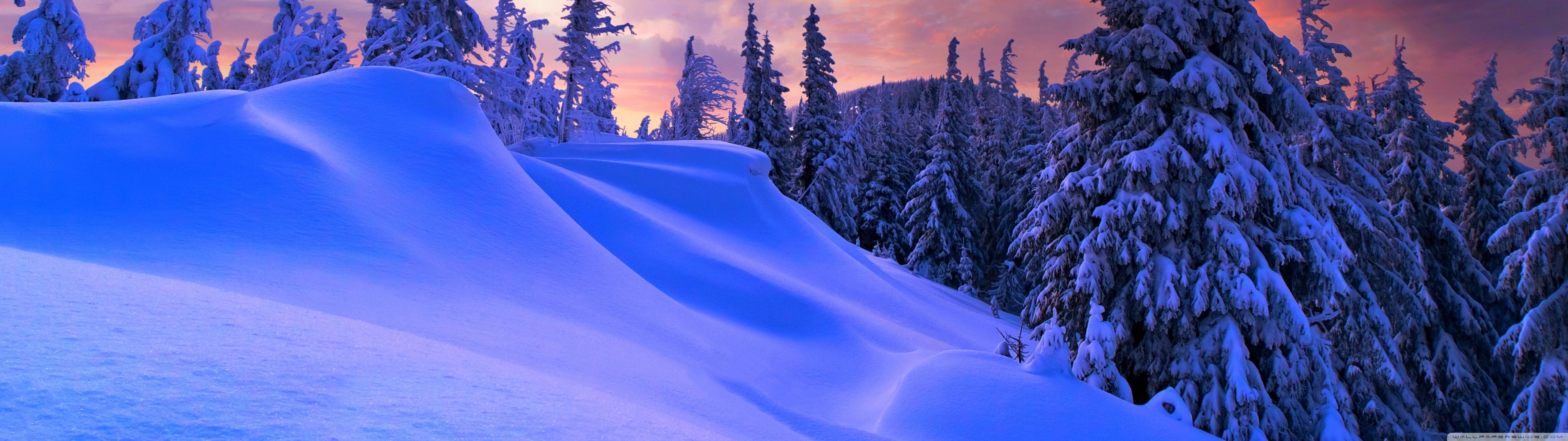 5120x1440 Dark Winter Wallpaper