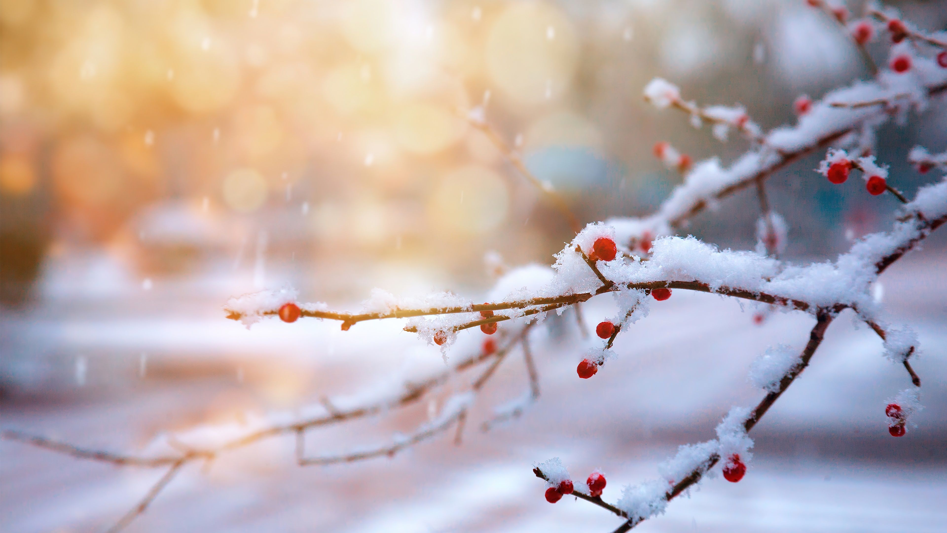 3840x2160 Winter Wonderland 4k Wallpaper