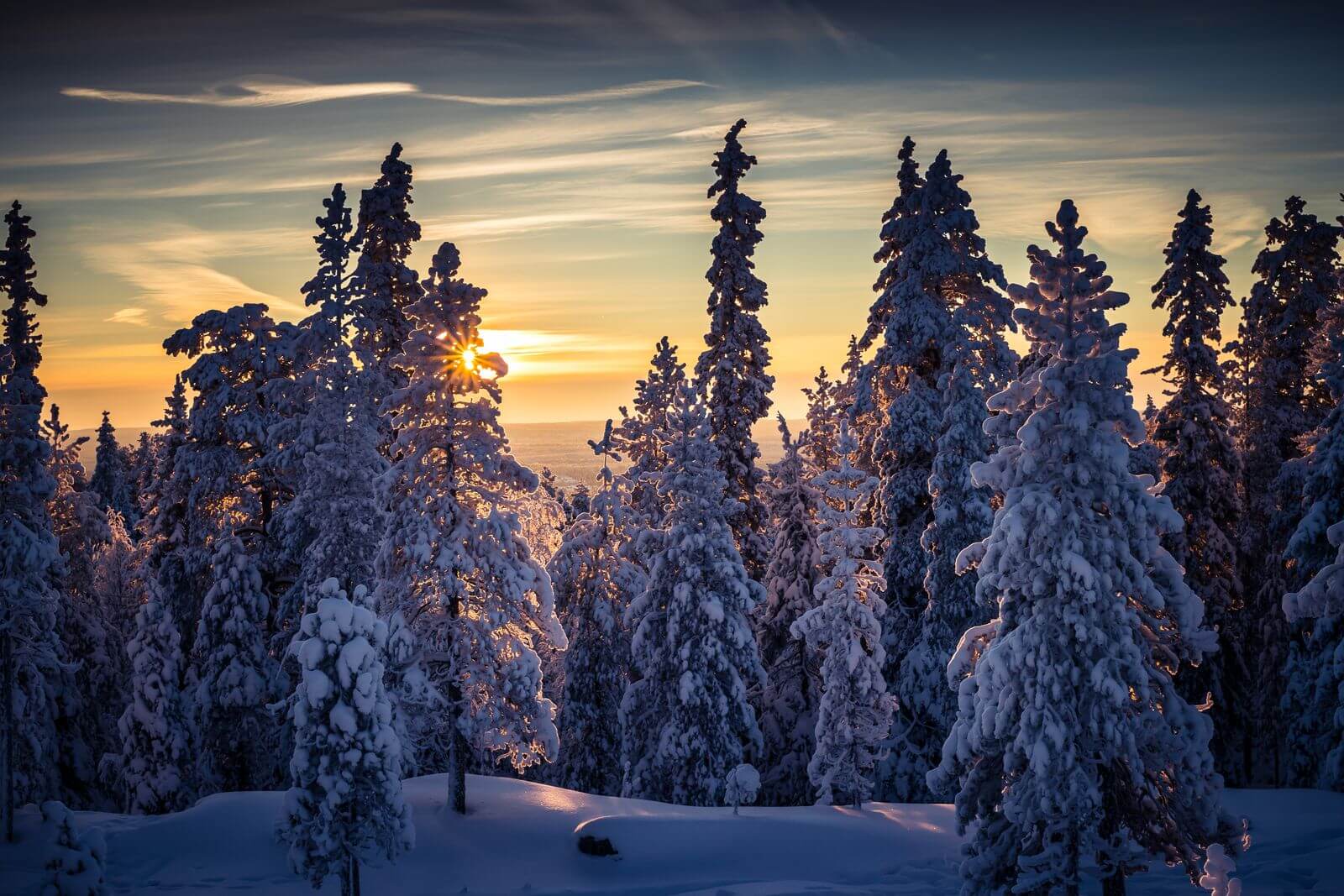 1600x1067 Rovaniemi Winter Spring Tours ❄️