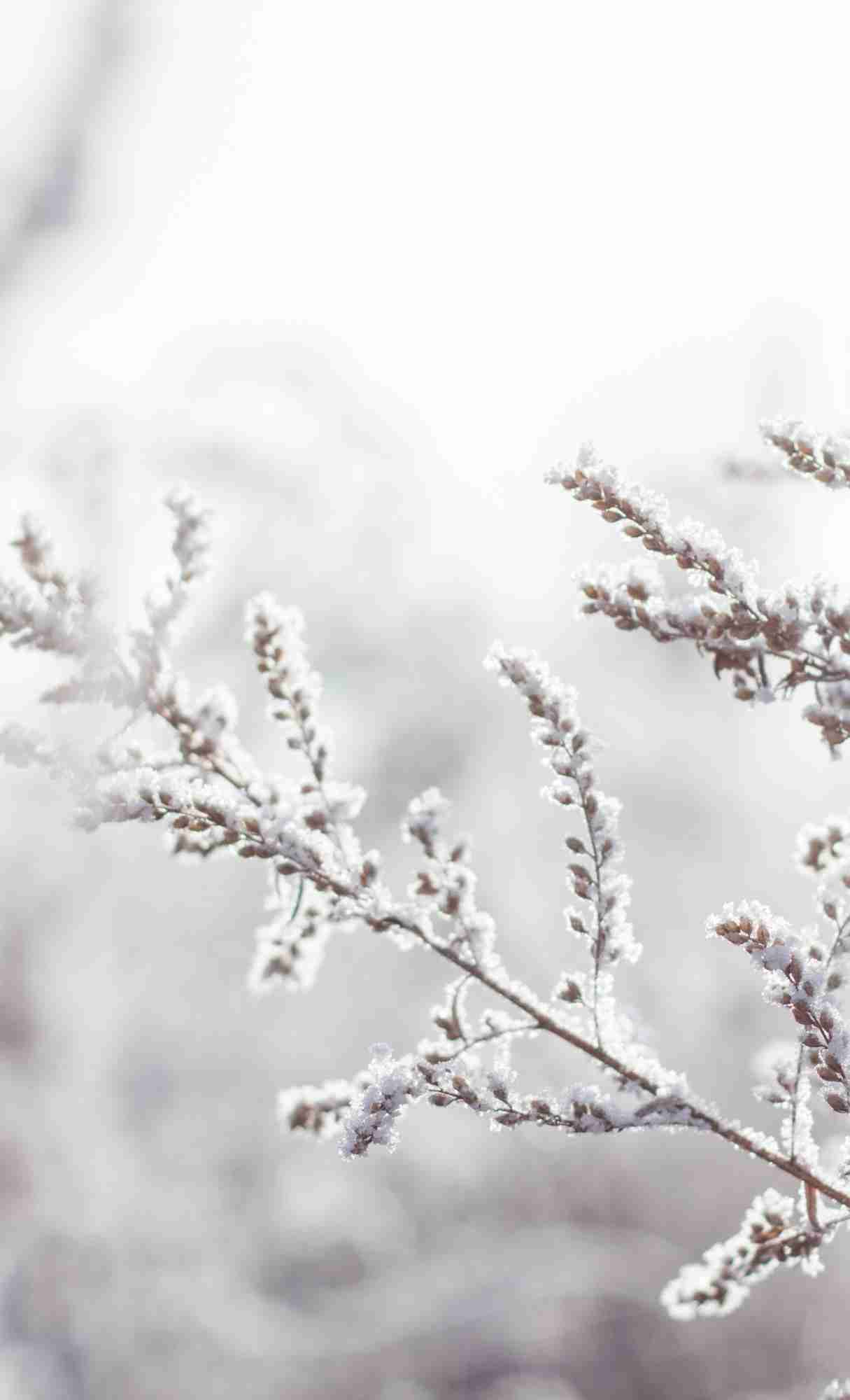 1215x2000 Winter iPhone Wallpaper Ideas