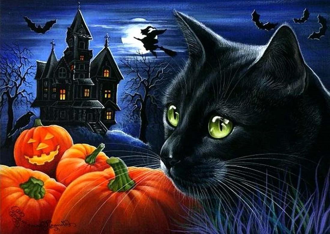 1099x780 Black Cat Halloween Pumpkin Wallpaper at