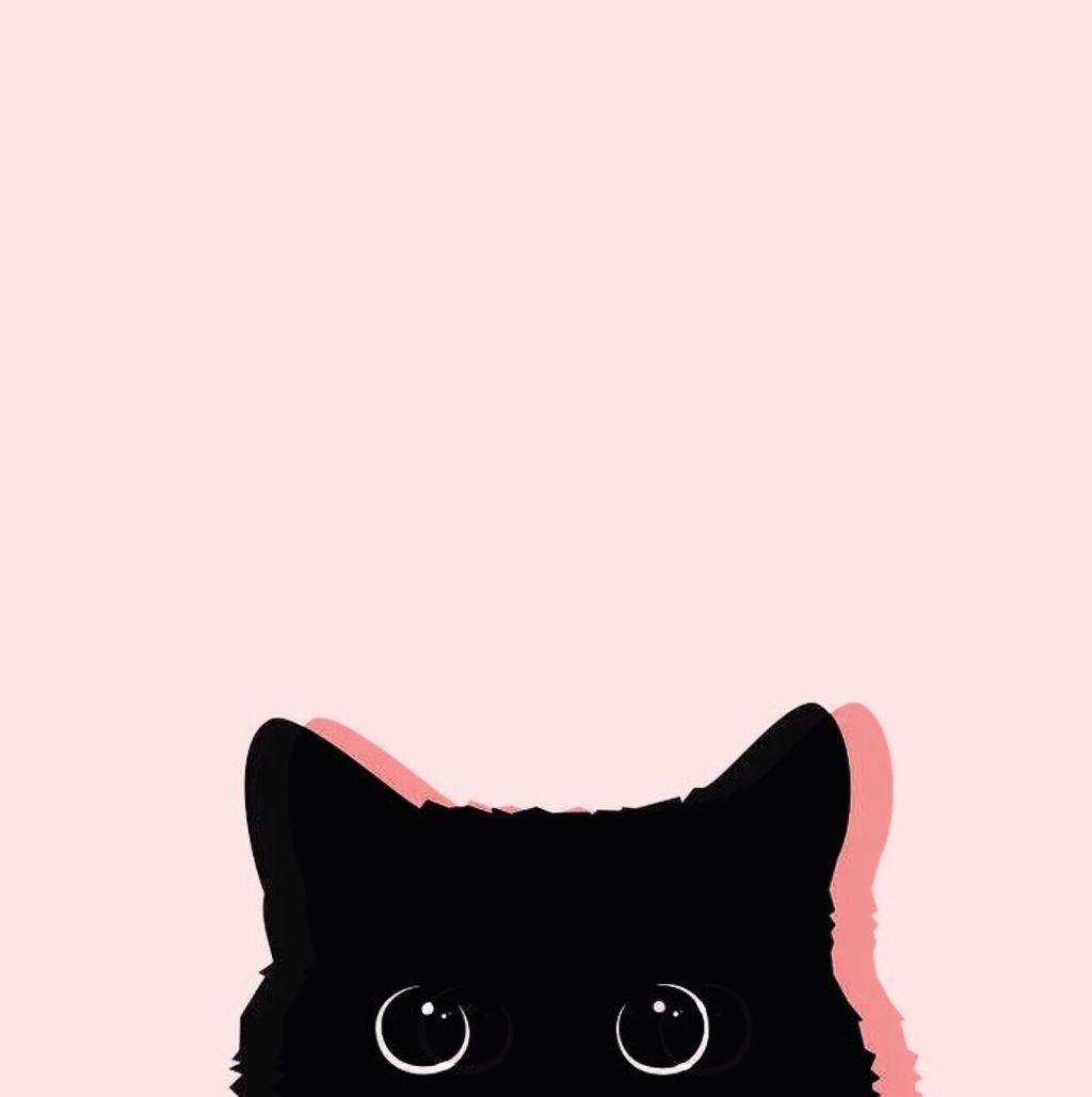1024x1029 freetoedit black cat pink background wallpaper interest