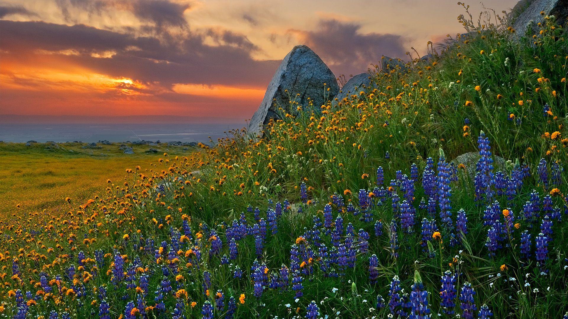 california-landscape-wallpapers-top-free-california-landscape