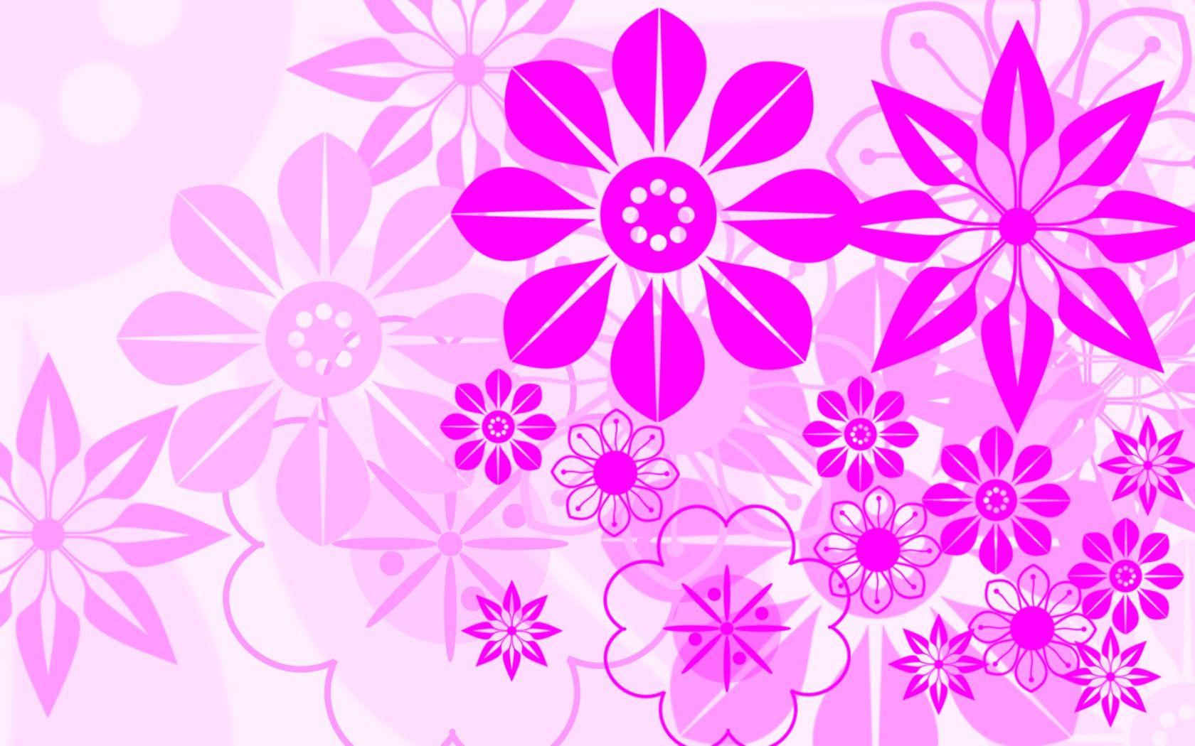 1680x1050 white, Flowers, Pink Wallpaper HD / Desktop and Mobile
