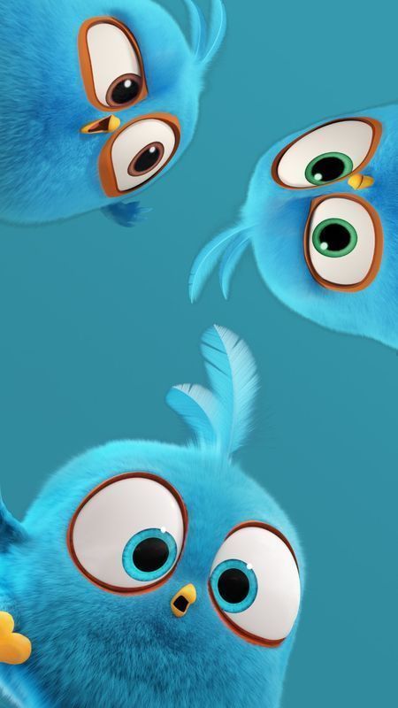 450x800 DC】Interesting angry bird wallpaper