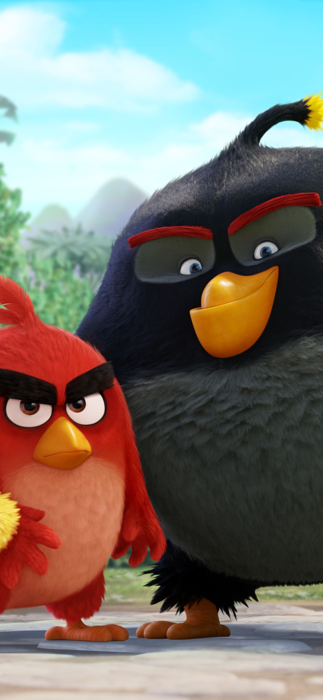 1080x2340 The Angry Birds Movie Phone Wallpaper
