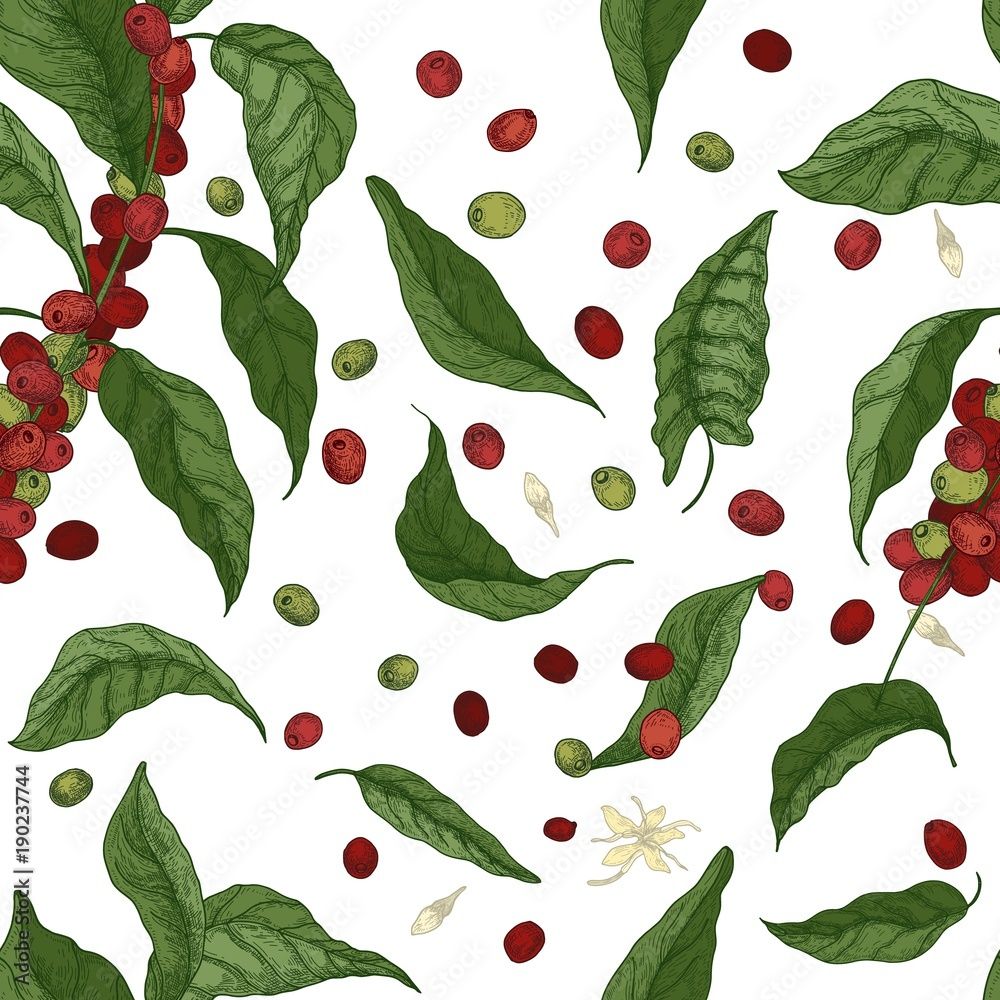 1000x1000 Elegant botanical seamless pattern